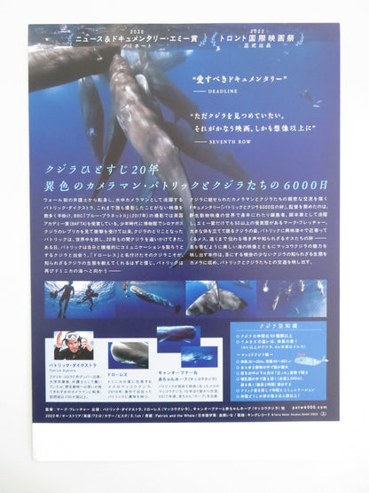 PATRICK AND THE WHALE JAPANESE CHIRASHI (B5) POSTER PATRICK DYKSTRA 2022 Movie posters