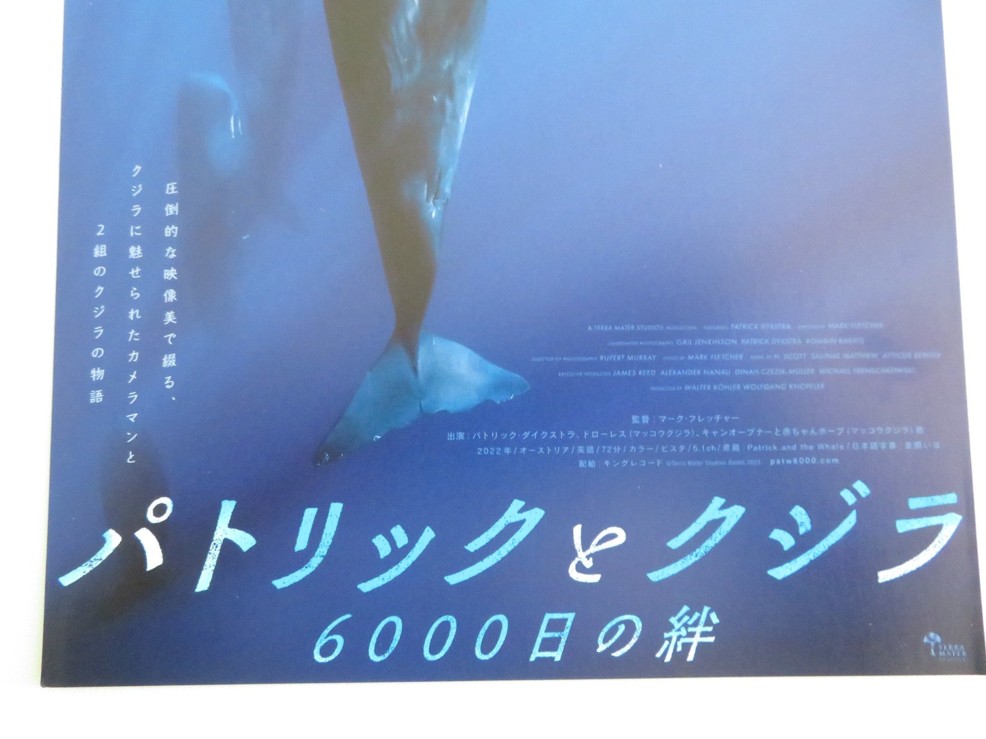 PATRICK AND THE WHALE JAPANESE CHIRASHI (B5) POSTER PATRICK DYKSTRA 2022 Movie posters