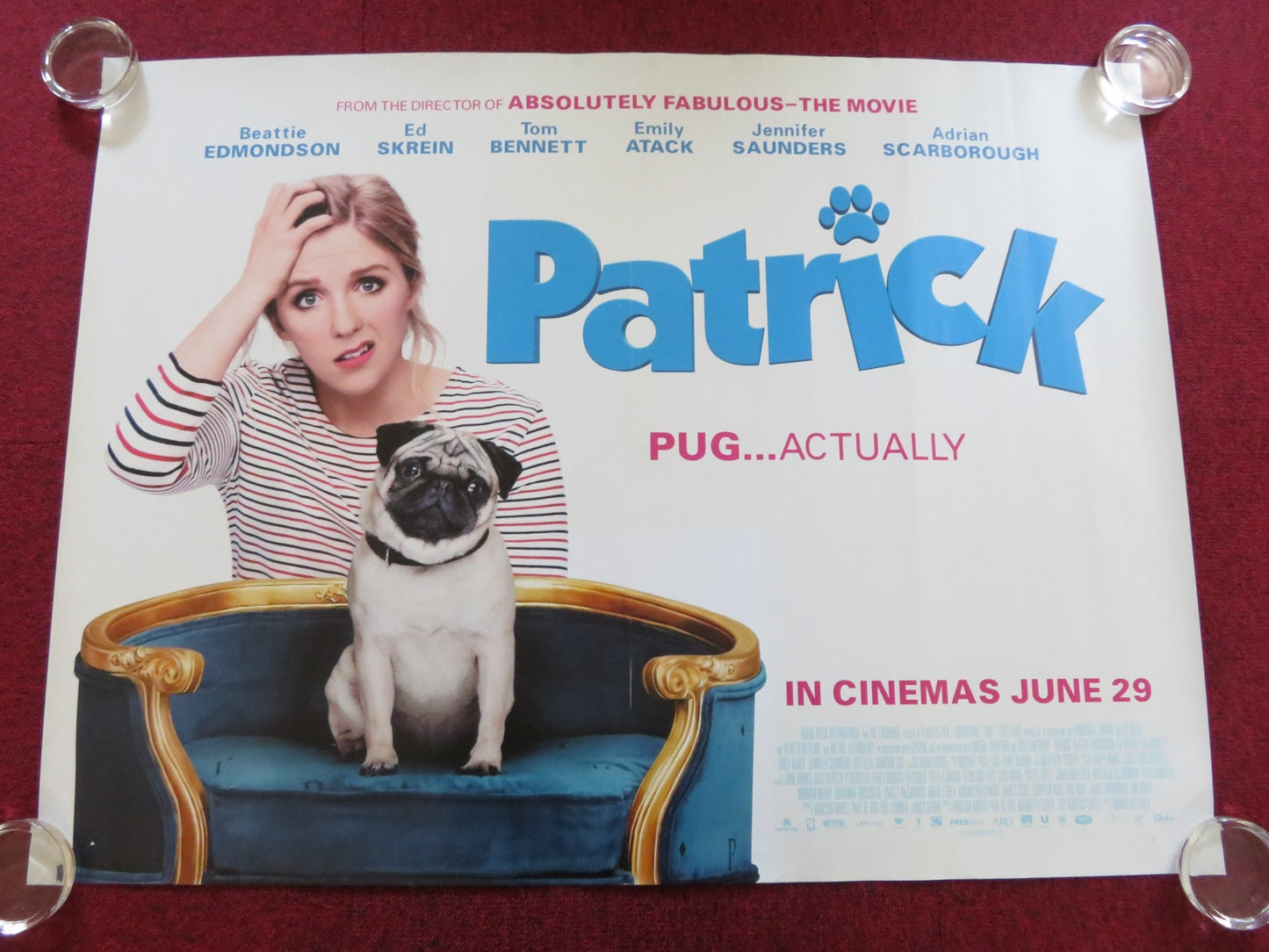 PATRICK THE PUG UK QUAD ROLLED POSTER SAM FLETCHER BEATTIE EDMONDSON 2018 Rendezvous Cinema Movie posters