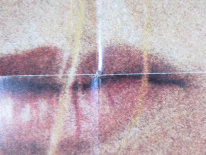 PERSONAL BEST FOLDED US ONE SHEET POSTER MARIEL HEMINGWAY SCOTT GLENN 1982 Rendezvous Cinema Movie posters