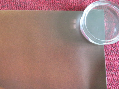 PETER HUJAR'S DAY UK QUAD ROLLED POSTER REBECCA HALL BEN WHISHAW 2025 Movie posters