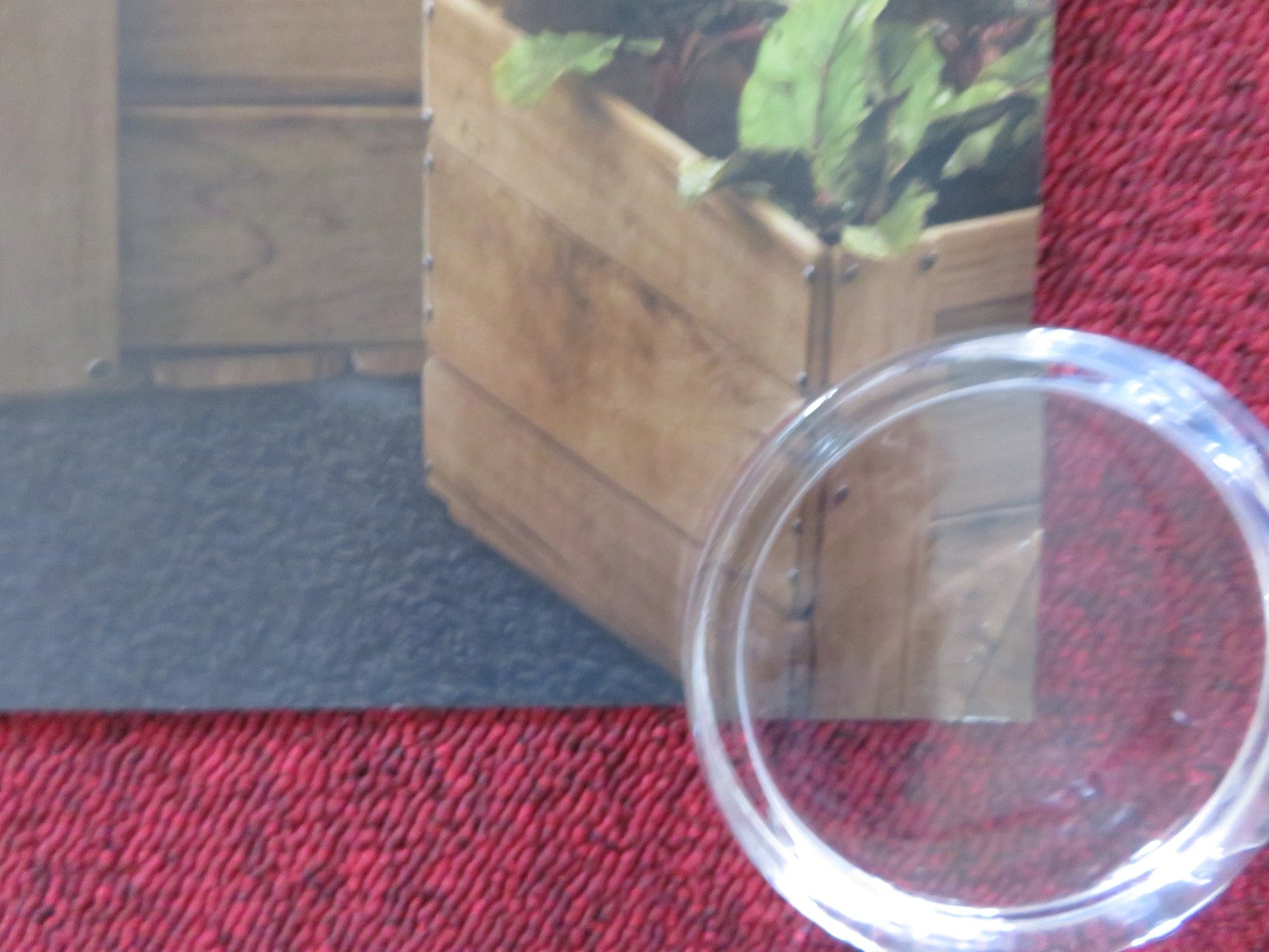 PETER RABBIT 2: THE RUNAWAY UK QUAD ROLLED POSTER ROSE BYRNE GLEESON 2021 Rendezvous Cinema Movie posters