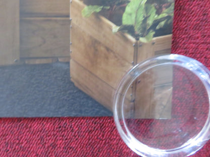 PETER RABBIT 2: THE RUNAWAY UK QUAD ROLLED POSTER ROSE BYRNE GLEESON 2021 Rendezvous Cinema Movie posters