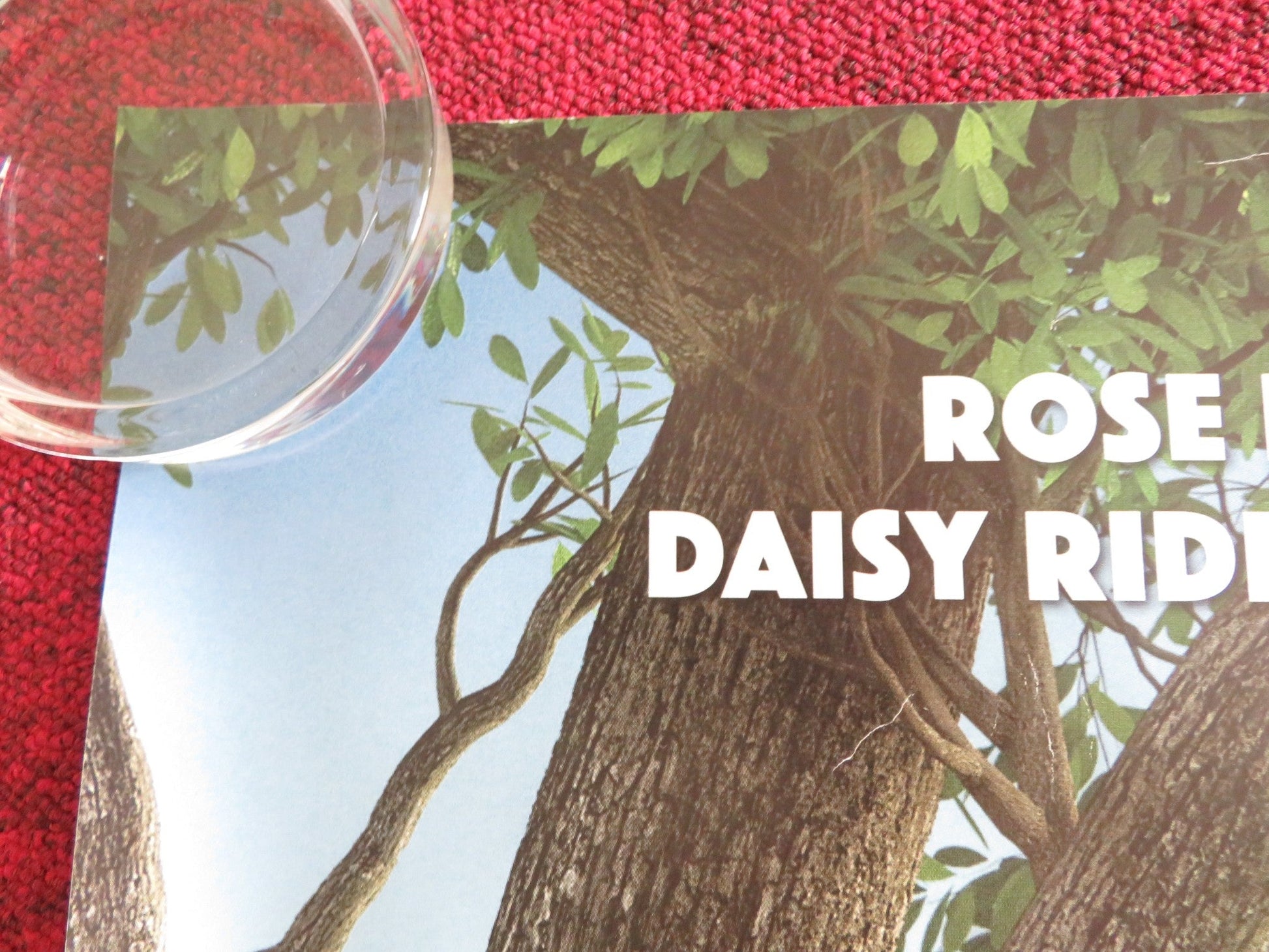 PETER RABBIT - B UK QUAD ROLLED POSTER ROSE BYRNE DOMHNALL GLEESON 2018 Rendezvous Cinema Movie posters