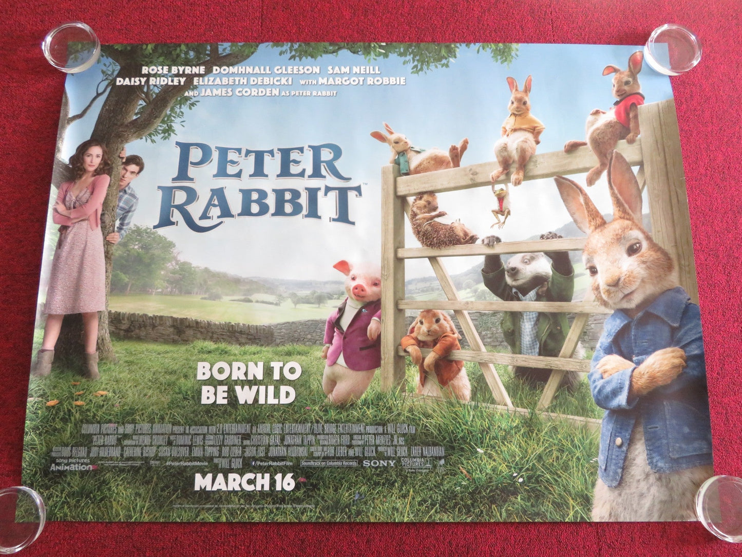 PETER RABBIT - B UK QUAD ROLLED POSTER ROSE BYRNE DOMHNALL GLEESON 2018 Rendezvous Cinema Movie posters