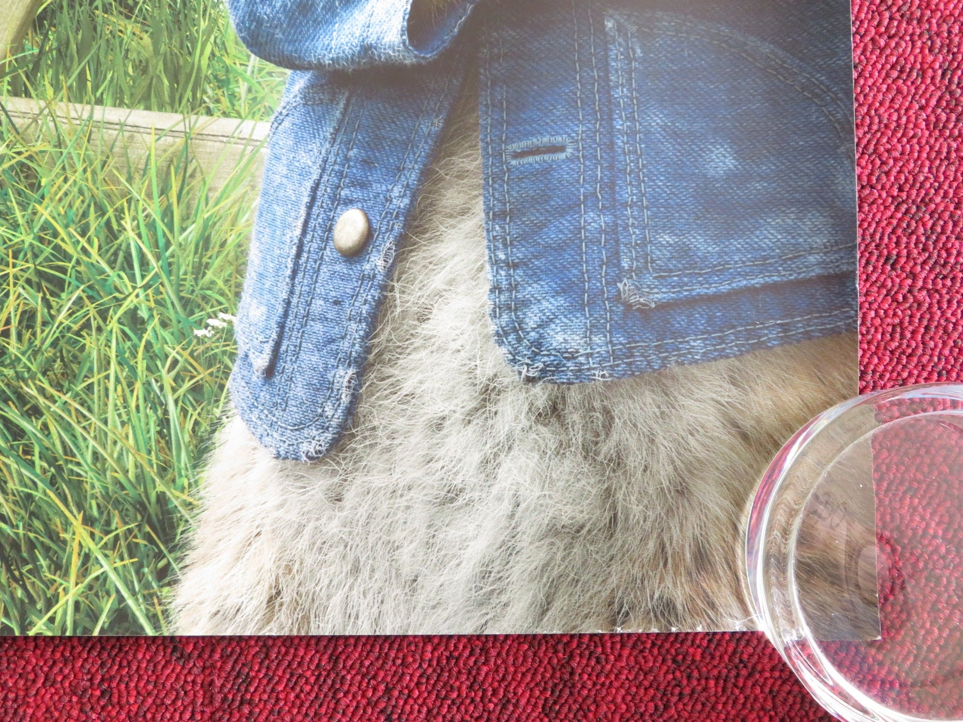 PETER RABBIT - B UK QUAD ROLLED POSTER ROSE BYRNE DOMHNALL GLEESON 2018 Rendezvous Cinema Movie posters