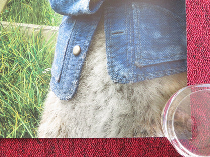 PETER RABBIT - B UK QUAD ROLLED POSTER ROSE BYRNE DOMHNALL GLEESON 2018 Rendezvous Cinema Movie posters