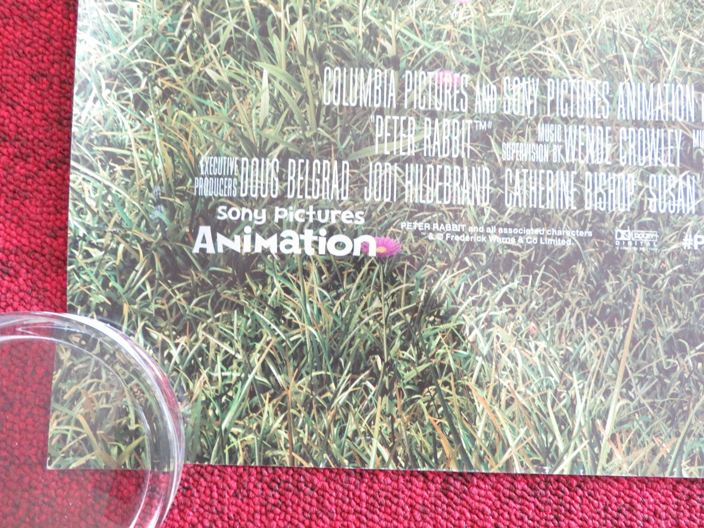 PETER RABBIT - B UK QUAD ROLLED POSTER ROSE BYRNE DOMHNALL GLEESON 2018 Rendezvous Cinema Movie posters