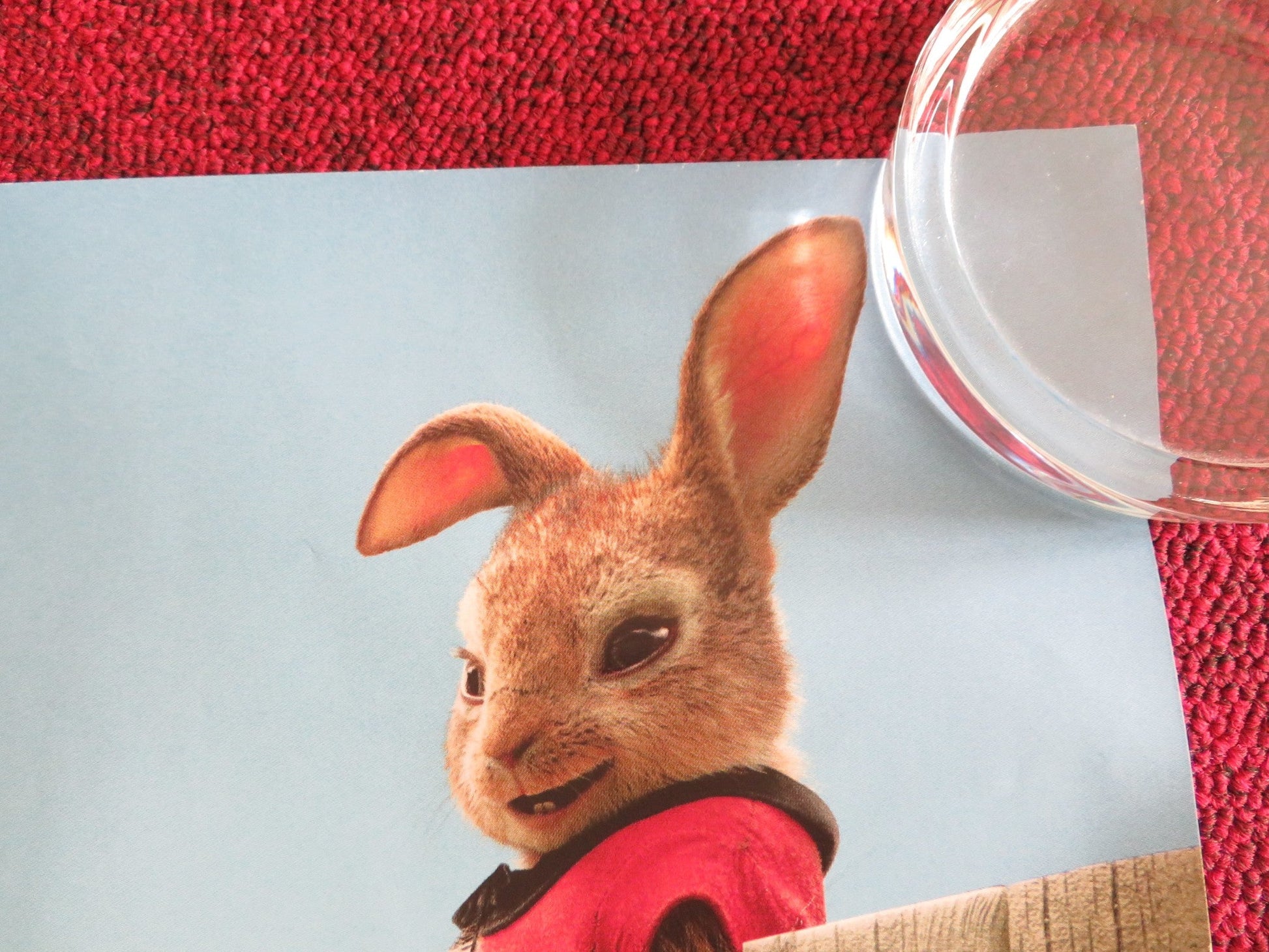 PETER RABBIT - B UK QUAD ROLLED POSTER ROSE BYRNE DOMHNALL GLEESON 2018 Rendezvous Cinema Movie posters