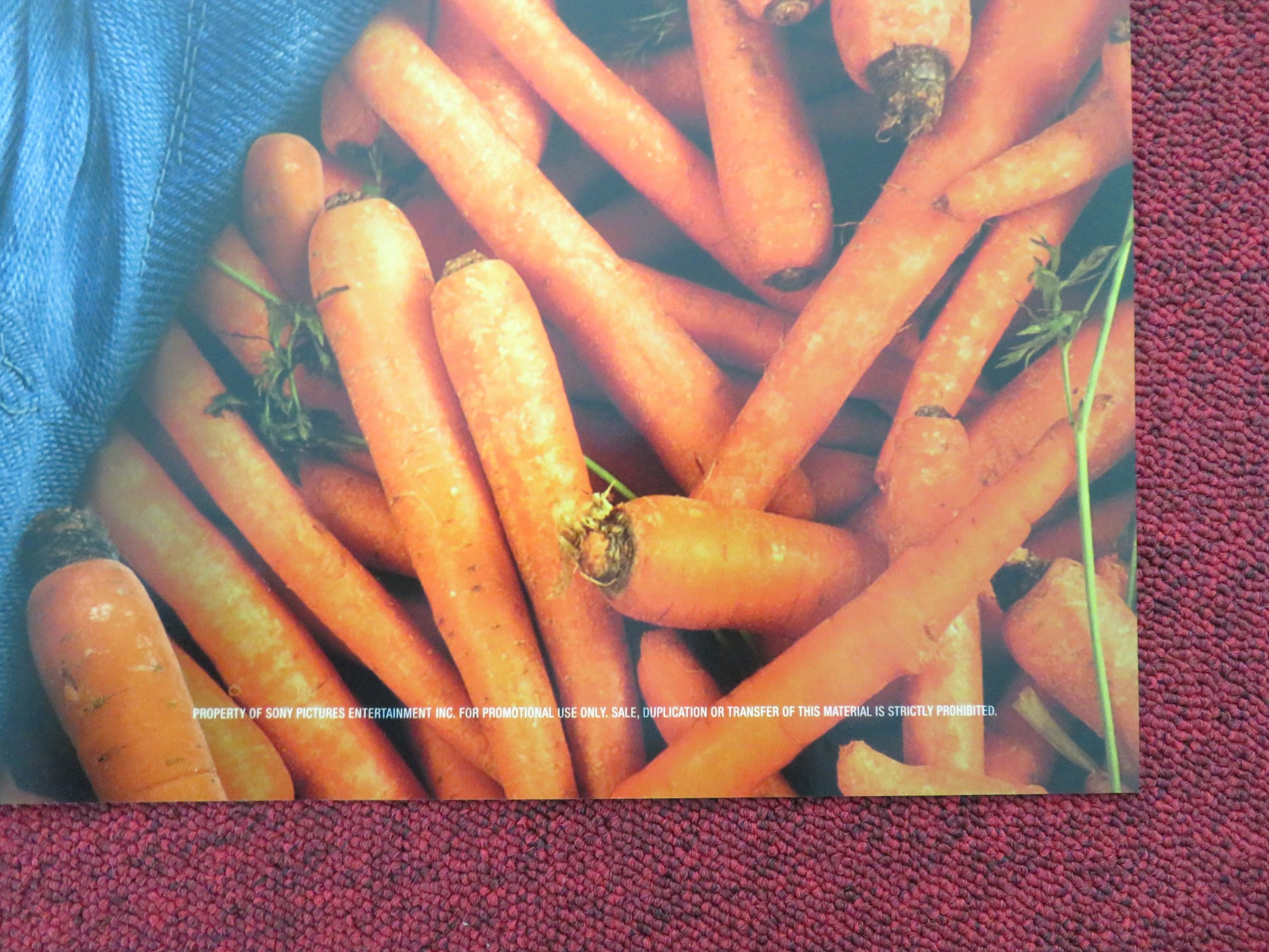 Peter Rabbit - B US One Sheet Rolled Poster James Corden Domhnall Gleeson 2018 Movie posters