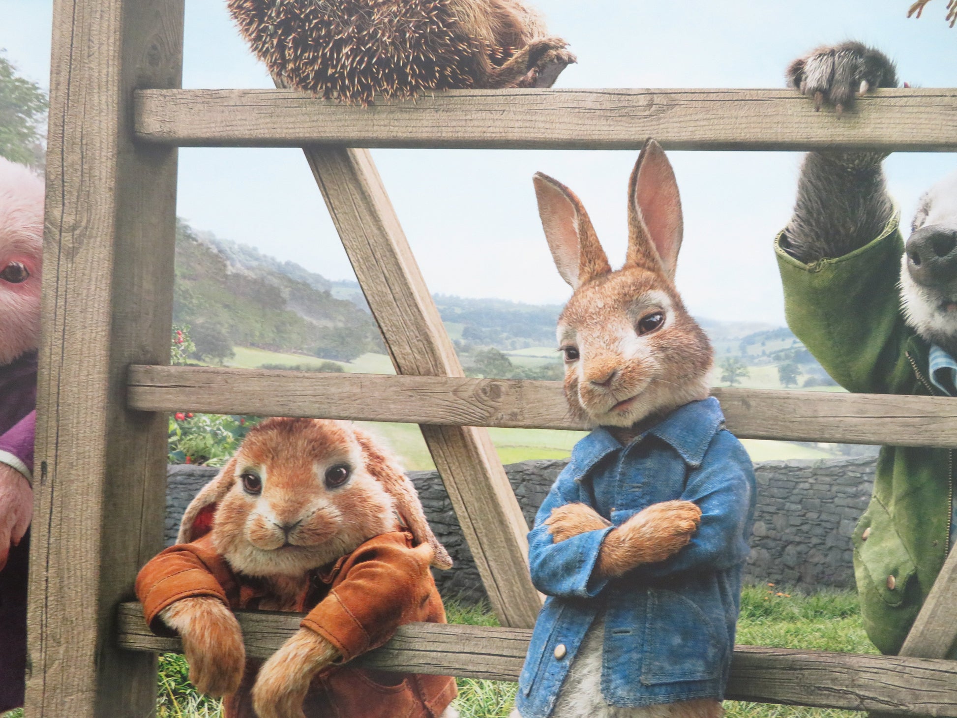 Peter Rabbit US One Sheet Rolled Poster James Corden Domhnall Gleeson 2018 Movie posters