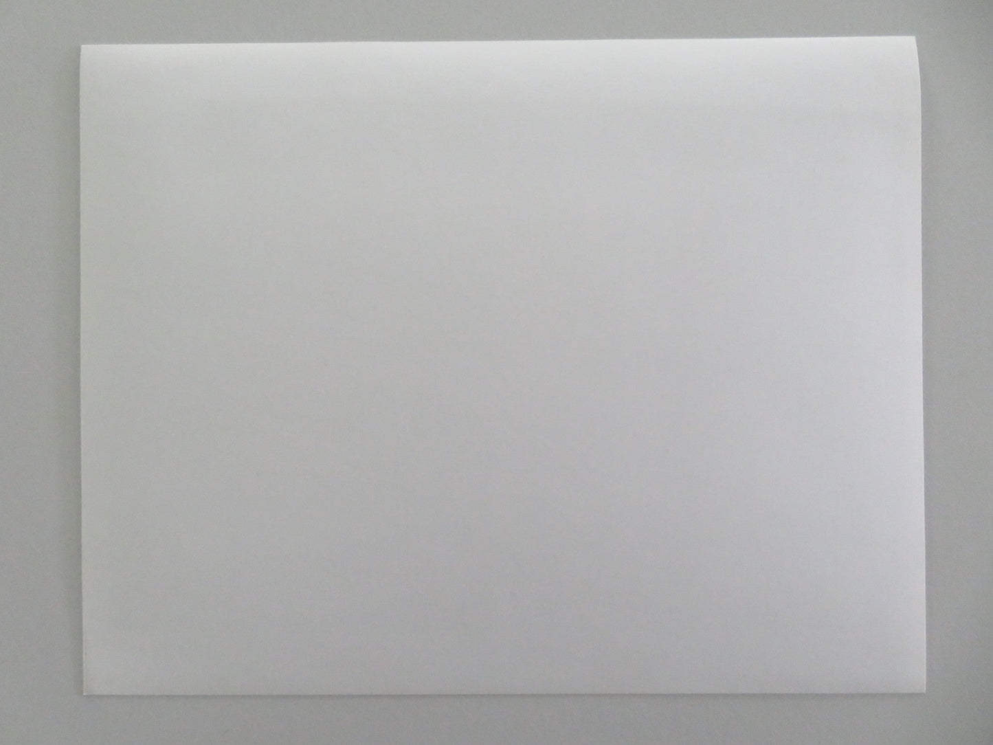 PINSKY / CONUNDRUM MOVIE STILL PHOTO STEVE MARTIN SALLY FIELD Movie posters