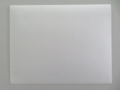 PINSKY / CONUNDRUM MOVIE STILL PHOTO STEVE MARTIN SALLY FIELD Movie posters