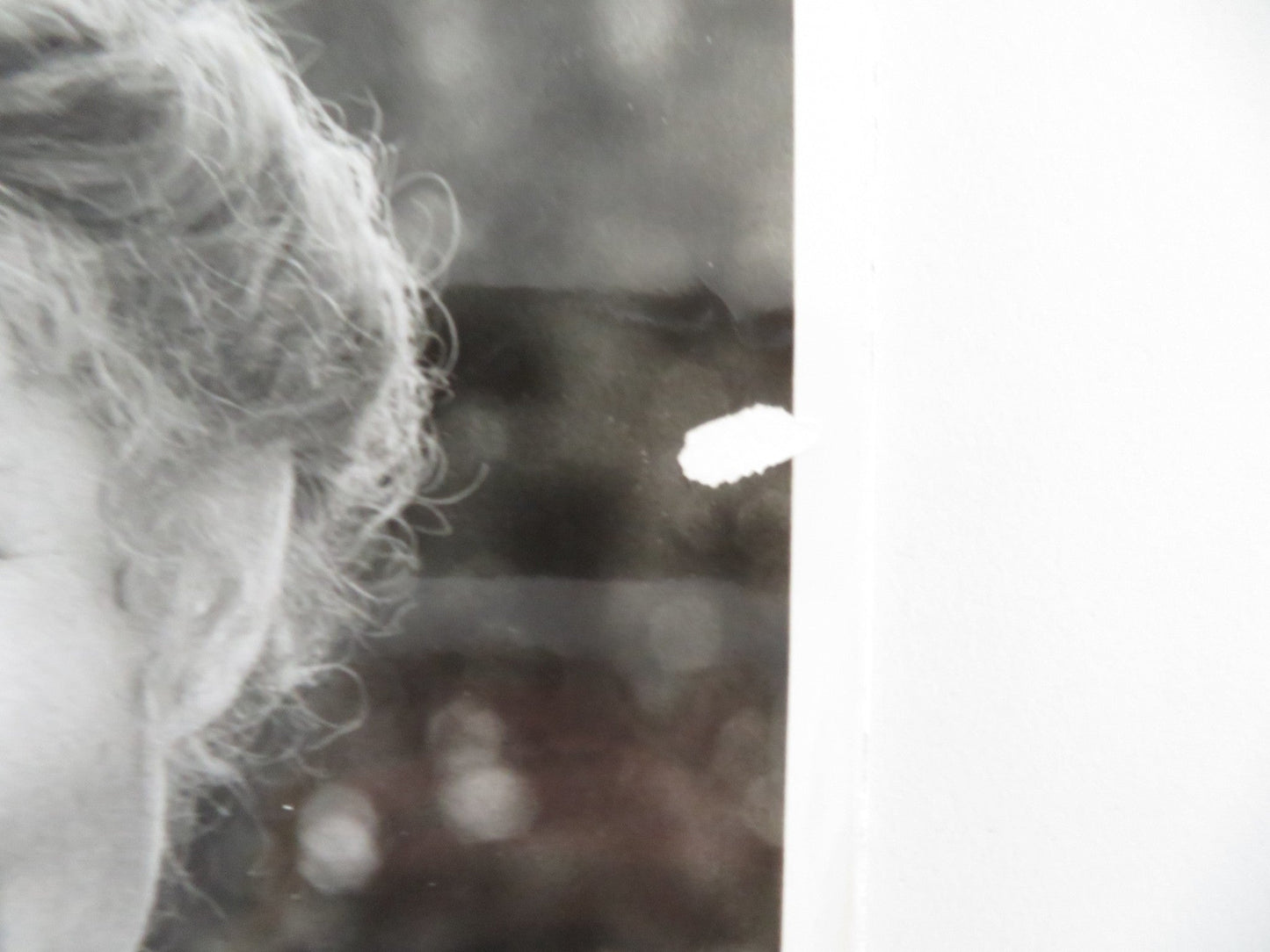 PLACES IN THE HEART MOVIE STILL PHOTO SALLY FIELD ED HARRIS 1984 Movie posters