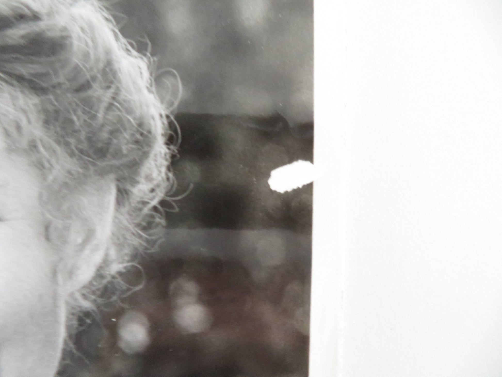 PLACES IN THE HEART MOVIE STILL PHOTO SALLY FIELD ED HARRIS 1984 Movie posters