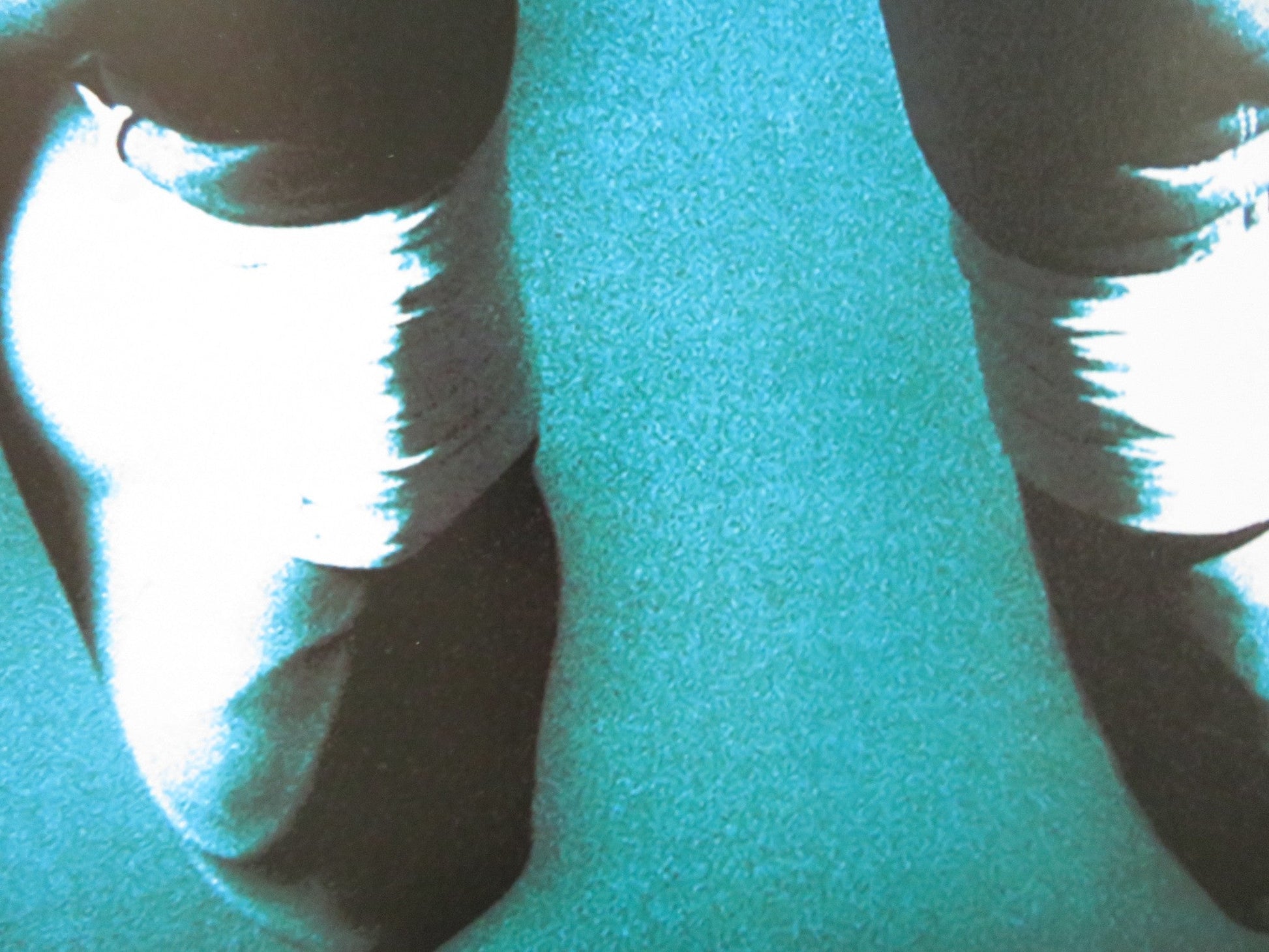 PLAY IT TO THE BONE VHS VIDEO POSTER WOODY HARRELSON ANTONIO BANDERAS 2000 Rendezvous Cinema Movie posters