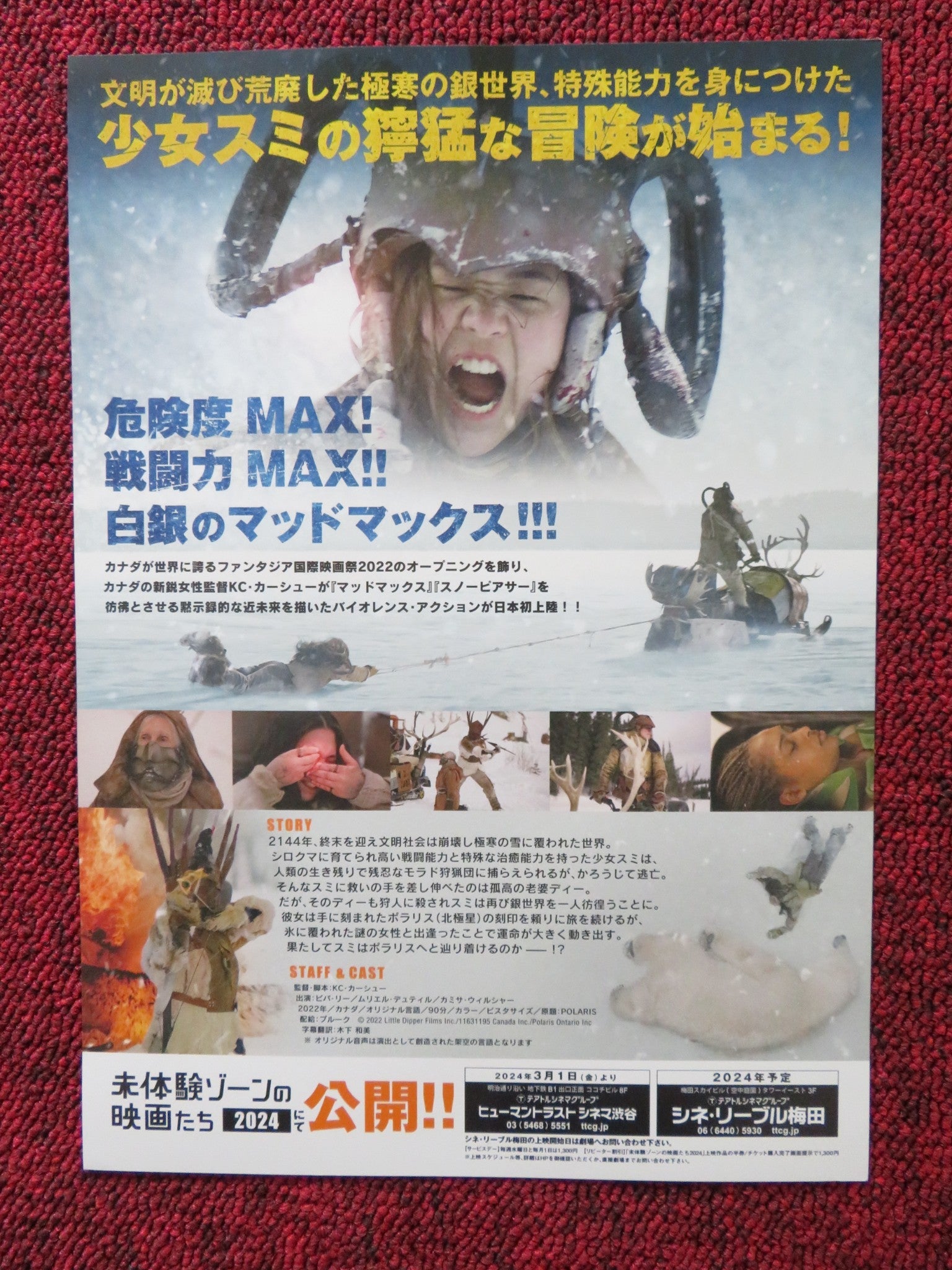 POLARIS JAPANESE CHIRASHI (B5) POSTER VIVA LEE MURIEL DUTIL 2022 Rendezvous Cinema Movie posters