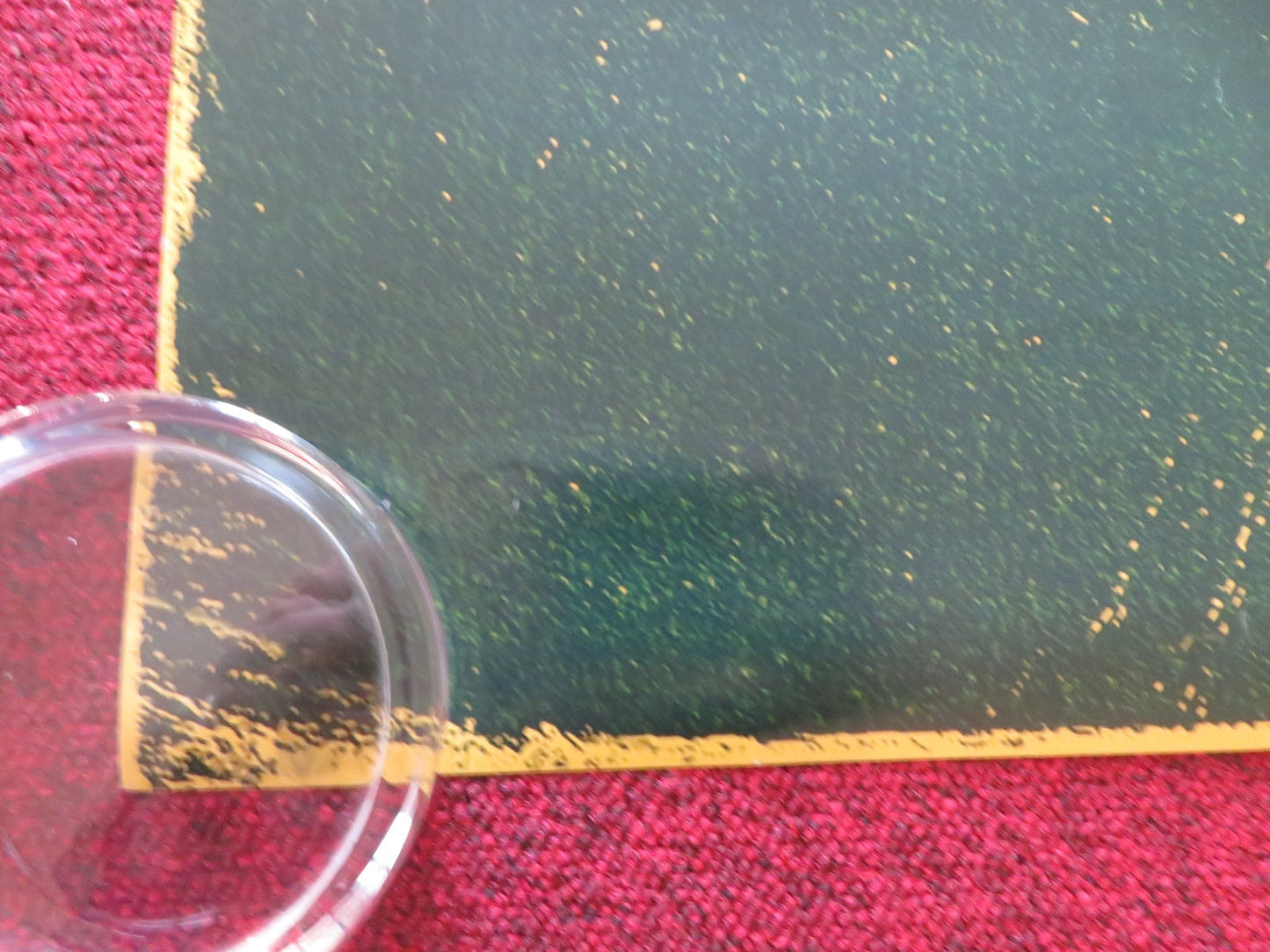 POLITE SOCIETY US ONE SHEET ROLLED POSTER PRIYA KANSARA RITU ARYA 2023 Rendezvous Cinema Movie posters