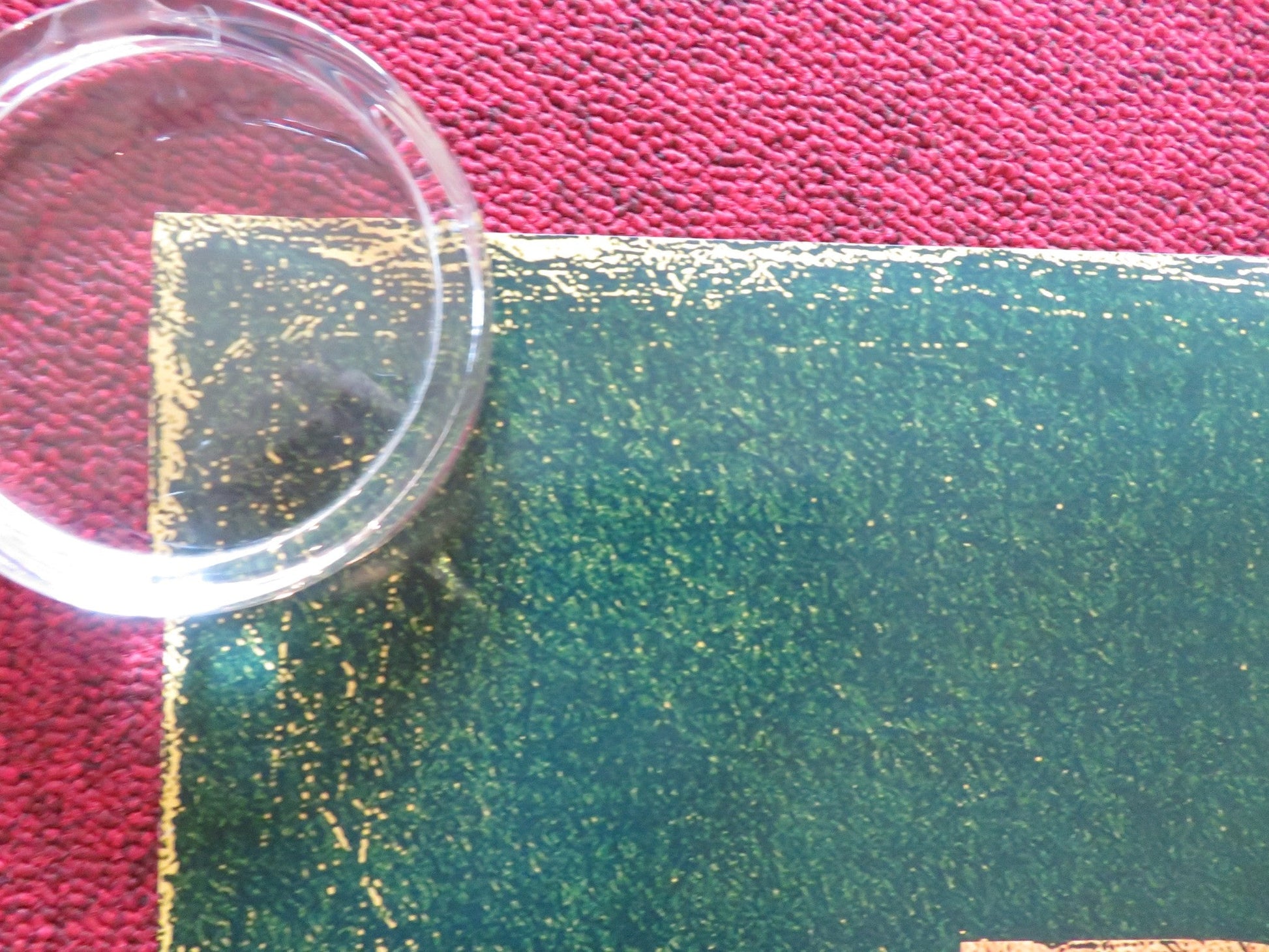 POLITE SOCIETY US ONE SHEET ROLLED POSTER PRIYA KANSARA RITU ARYA 2023 Rendezvous Cinema Movie posters