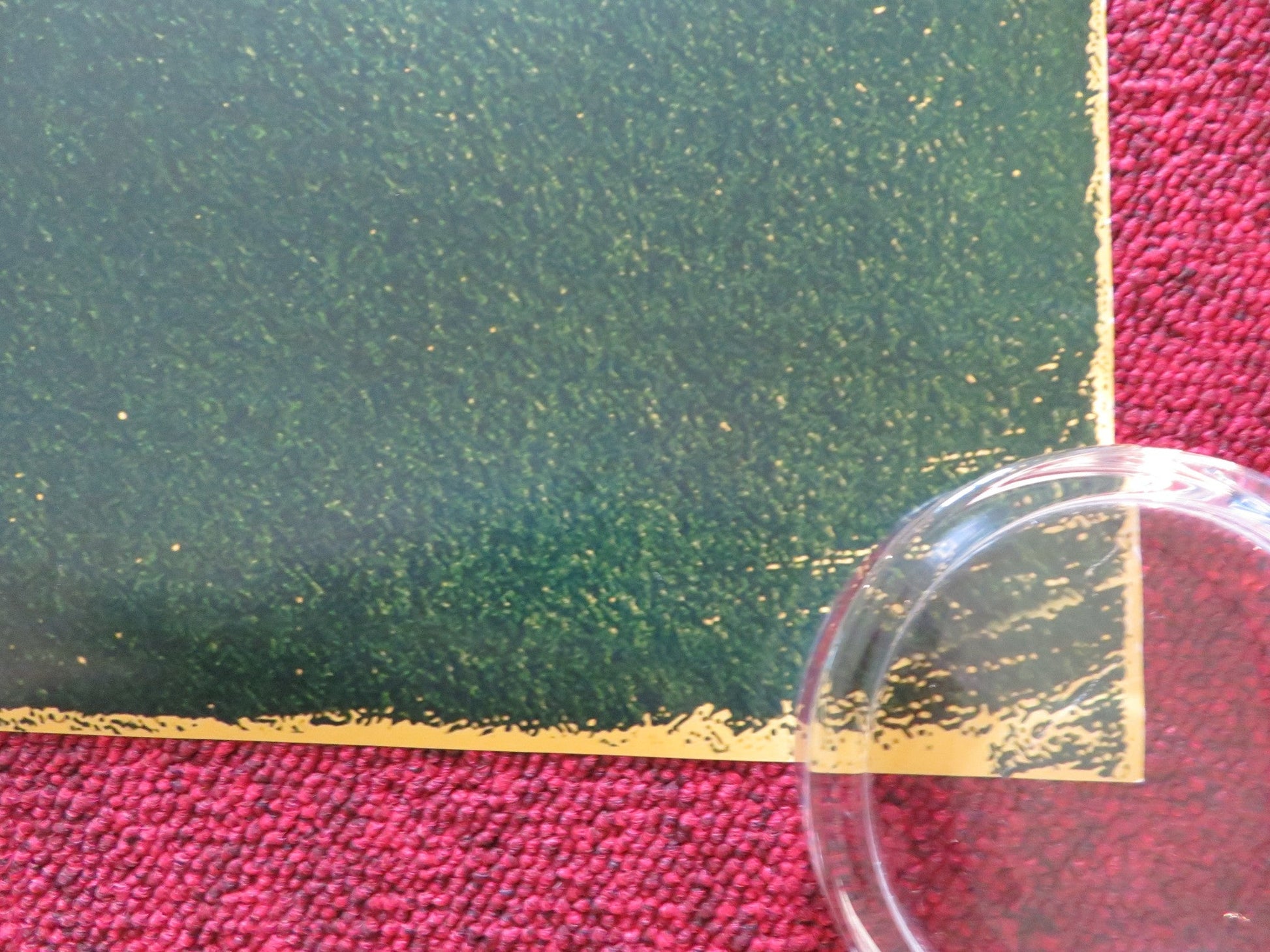 POLITE SOCIETY US ONE SHEET ROLLED POSTER PRIYA KANSARA RITU ARYA 2023 Rendezvous Cinema Movie posters