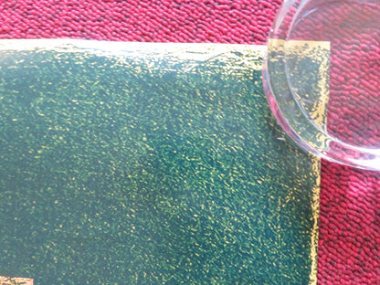 POLITE SOCIETY US ONE SHEET ROLLED POSTER PRIYA KANSARA RITU ARYA 2023 Rendezvous Cinema Movie posters