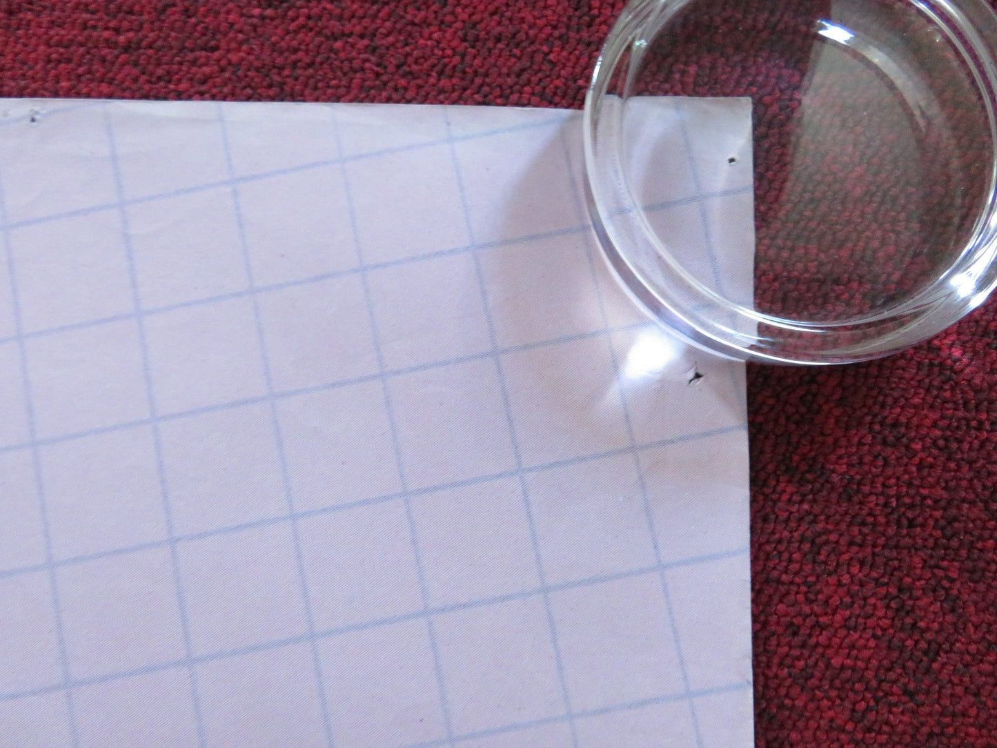 PORKY'S II: THE NEXT DAY UK QUAD ROLLED POSTER DAN MONAHAN WYATT KNIGHT 1983 Rendezvous Cinema Movie posters