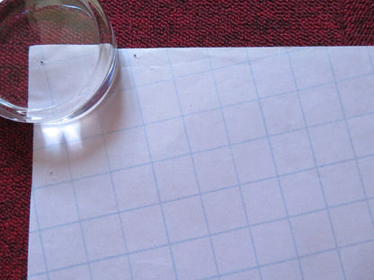 PORKY'S II: THE NEXT DAY UK QUAD ROLLED POSTER DAN MONAHAN WYATT KNIGHT 1983 Rendezvous Cinema Movie posters