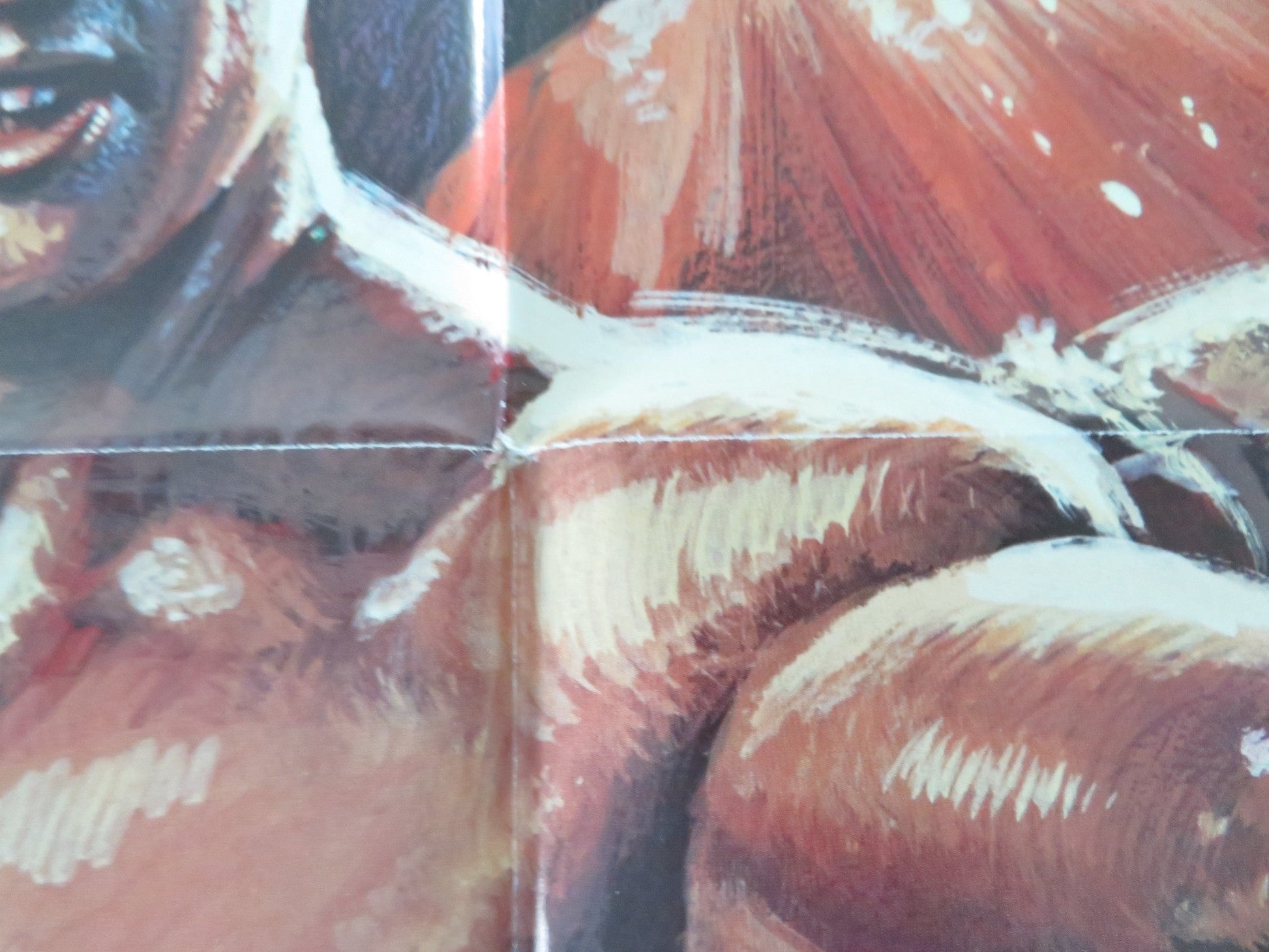 POWERFORCE FOLDED US ONE SHEET POSTER BRUCE BARON BRUCE LI 1982 Movie posters