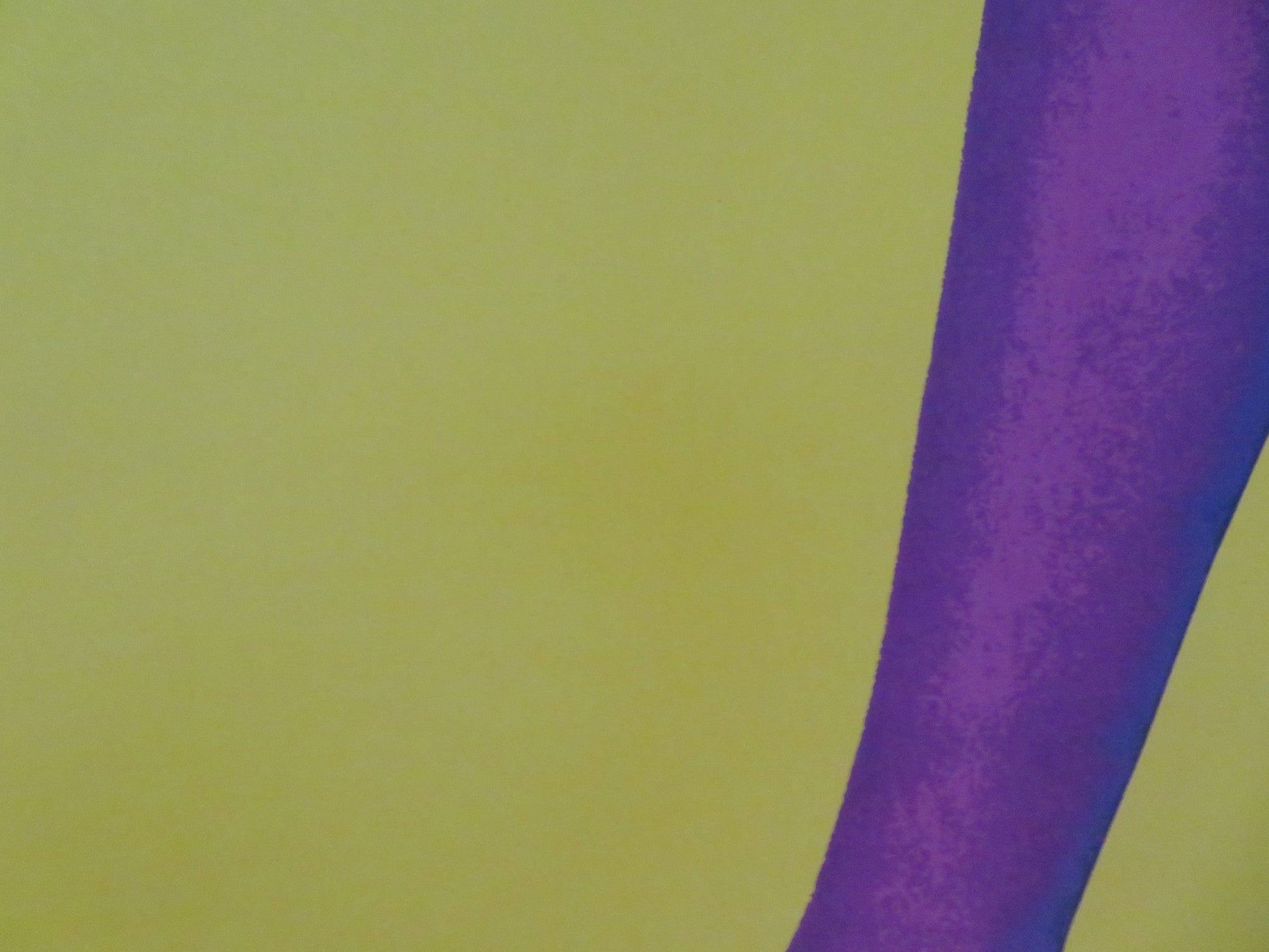 PREDDYKAT MARCHENHAFT GERMAN STAGE POSTER ROLLED THE PREDDY SHOW COMPANY 1990s Movie posters