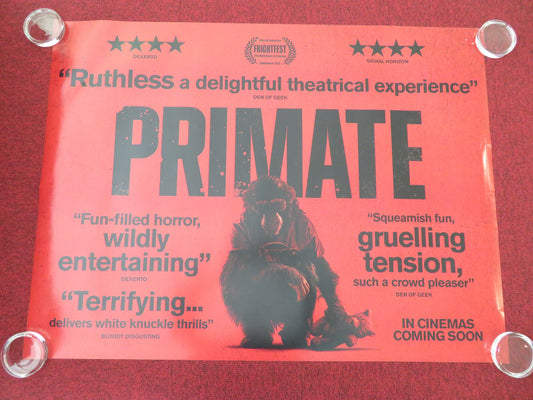 Primate UK Quad Rolled Poster Johnny Sequoyah Jess Alexander 2025 Movie posters
