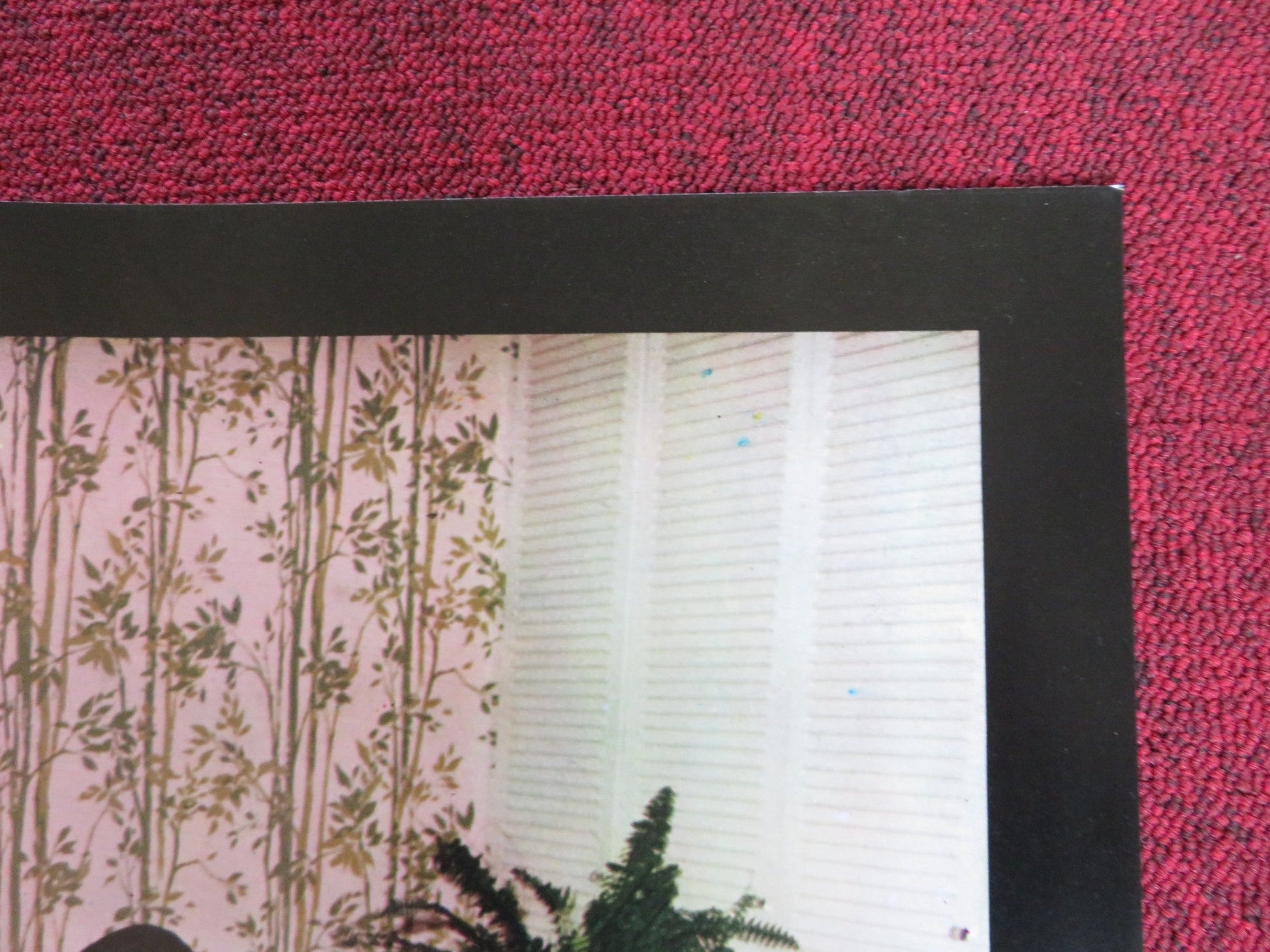 PROFONDO PORNO - B ITALIAN FOTOBUSTA POSTER ANGELIQUE BERNARD AXEL BERGER 1977 Rendezvous Cinema Movie posters