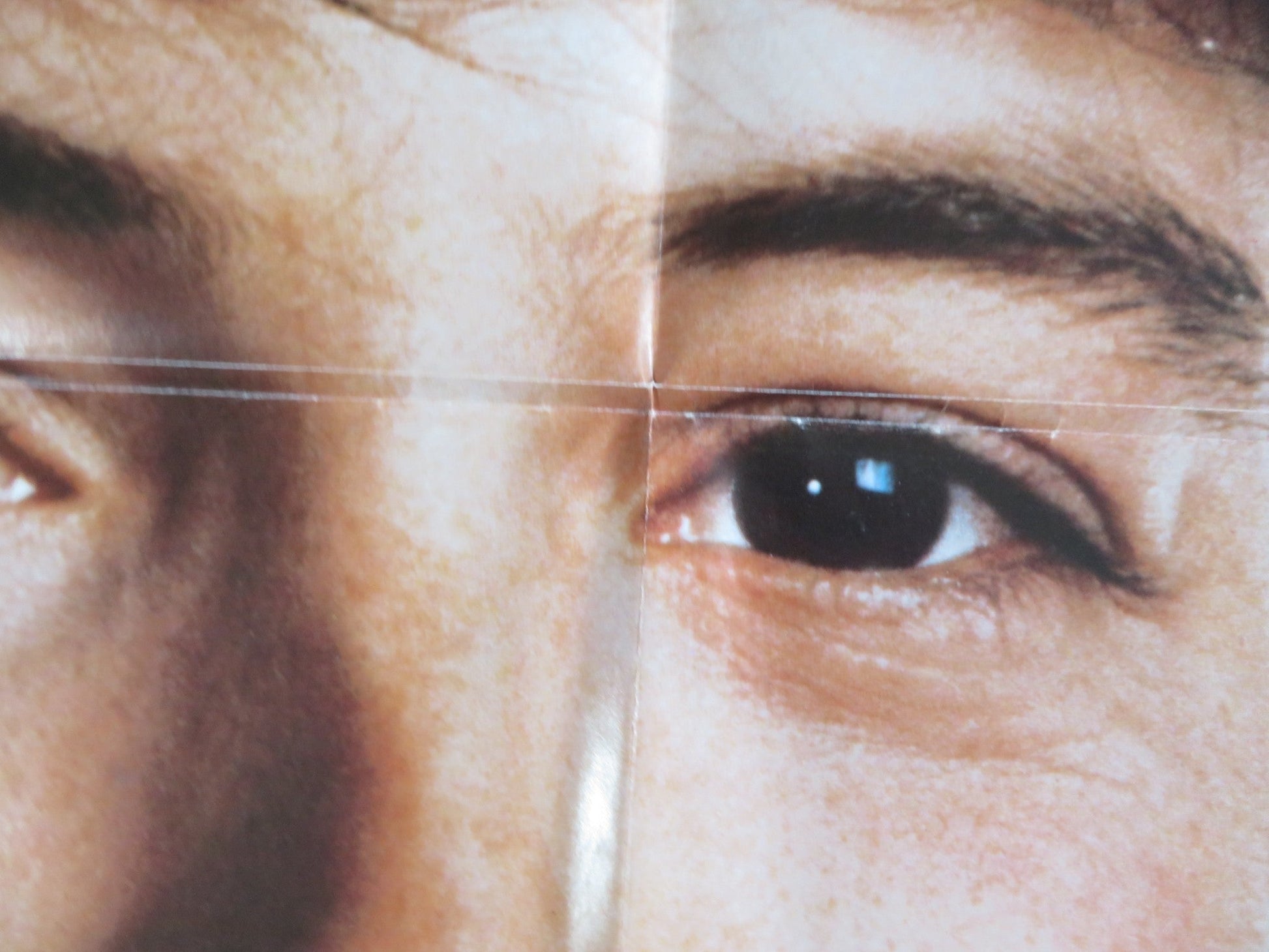 PROJECT X - B FOLDED US ONE SHEET POSTER MATTHEW BRODERICK 1987 Rendezvous Cinema Movie posters