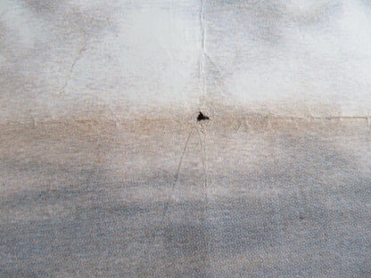 PUSLU GUNES TURKISH POSTER ROLLED BROOKE SHIELDS TIMOTHY DALTON 1989 Rendezvous Cinema Movie posters