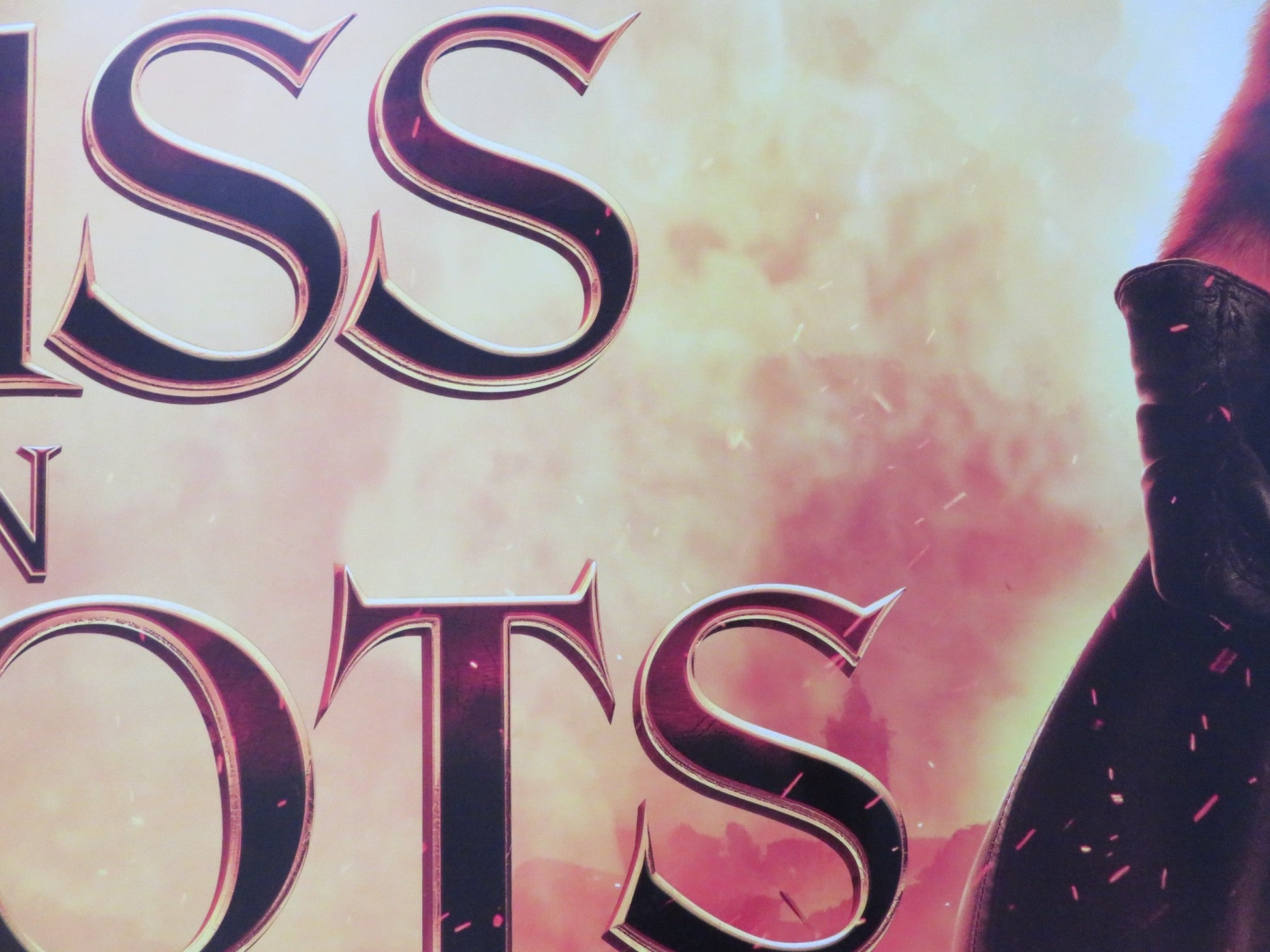 PUSS IN BOOTS 3D UK QUAD ROLLED POSTER ANTONIO BANDERAS SALMA HAYEK 2011 Rendezvous Cinema Movie posters