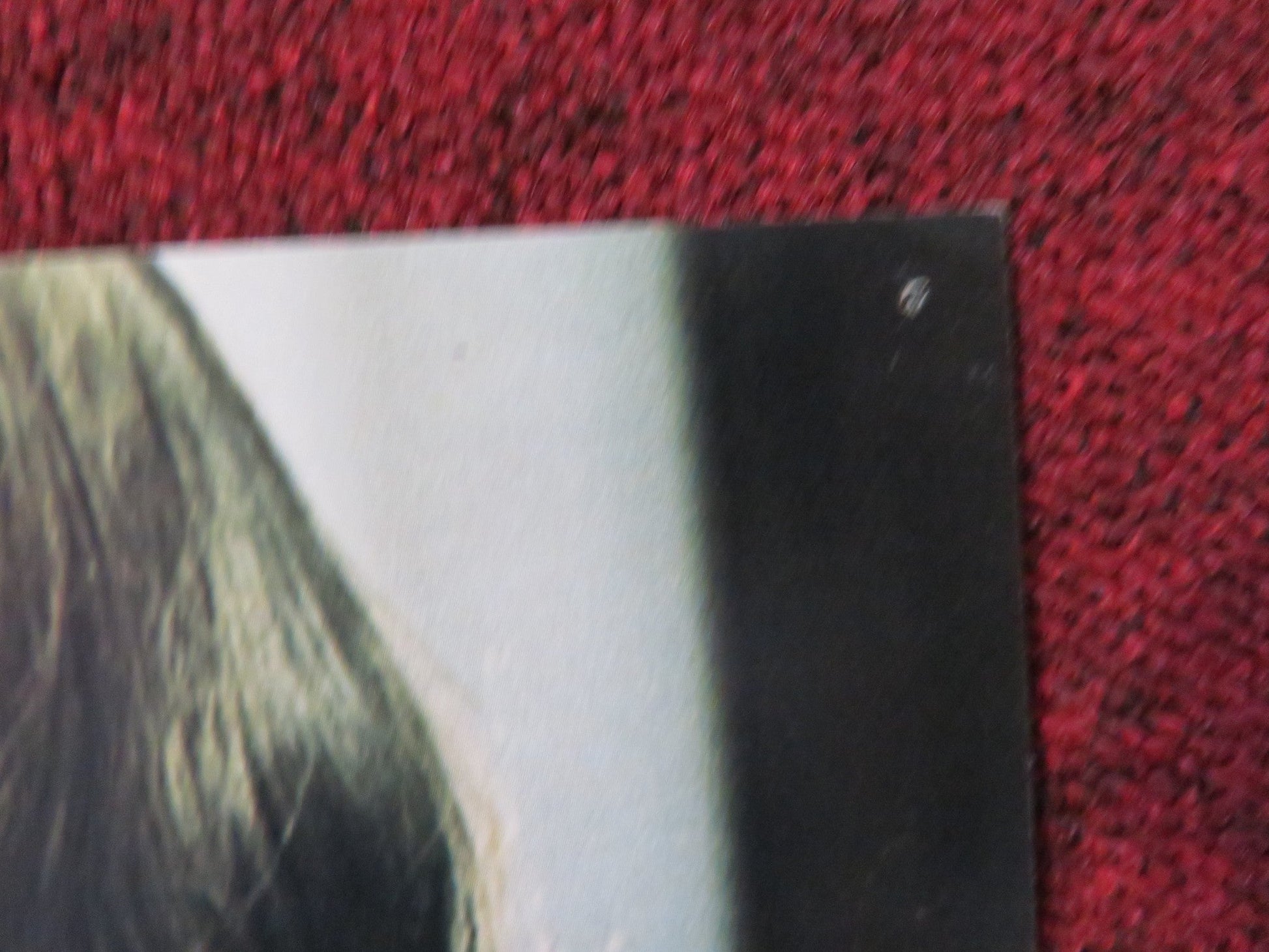 PUZZLE OF A DOWNFALL CHILD - 2 LOBBY CARD FAYE DUNAWAY 1971 Rendezvous Cinema Movie posters