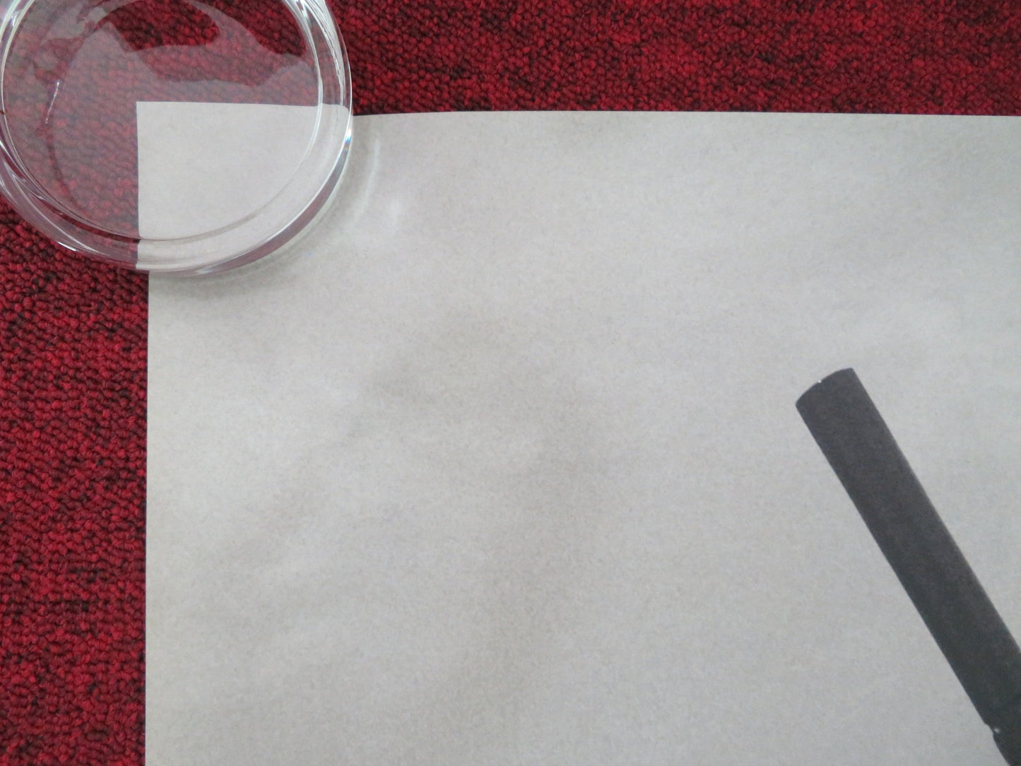 QUANTUM OF SOLACE - B ONE SHEET ROLLED POSTER DANIEL CRAIG OLGA KURYLENKO 2008 Movie posters