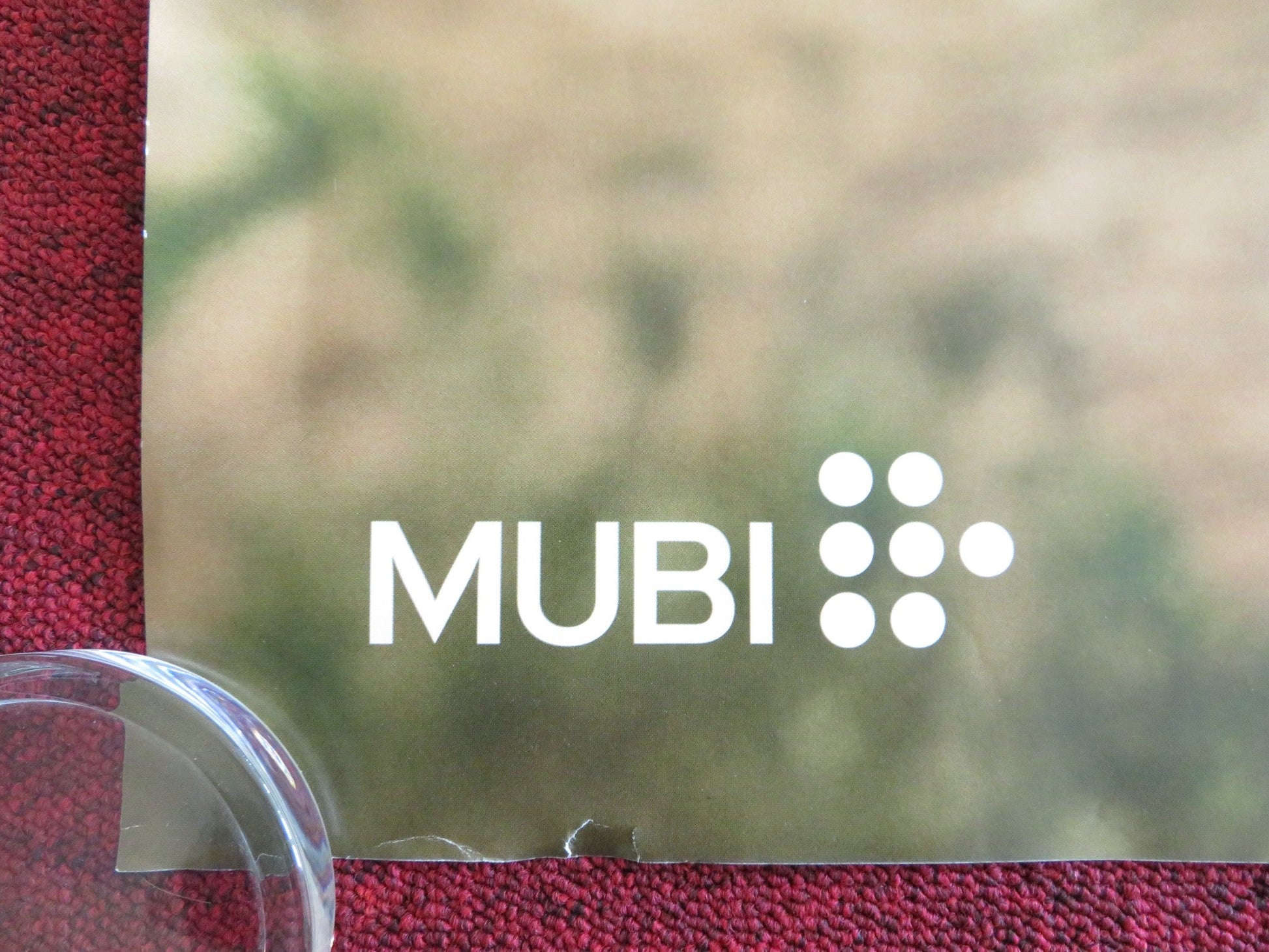 QUEER UK QUAD ROLLED POSTER DANIEL CRAIG DAAN DE WIT 2024 Rendezvous Cinema Movie posters