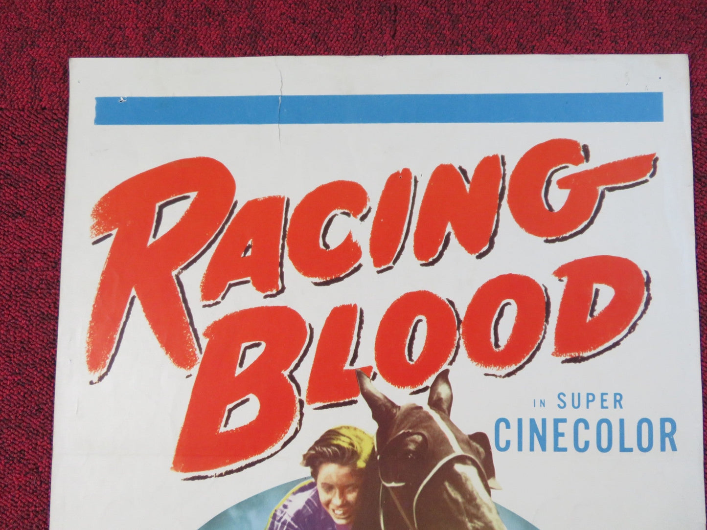 RACING BLOOD US INSERT POSTER BILL WILLIAMS JEAN PORTER 1954 Rendezvous Cinema Movie posters