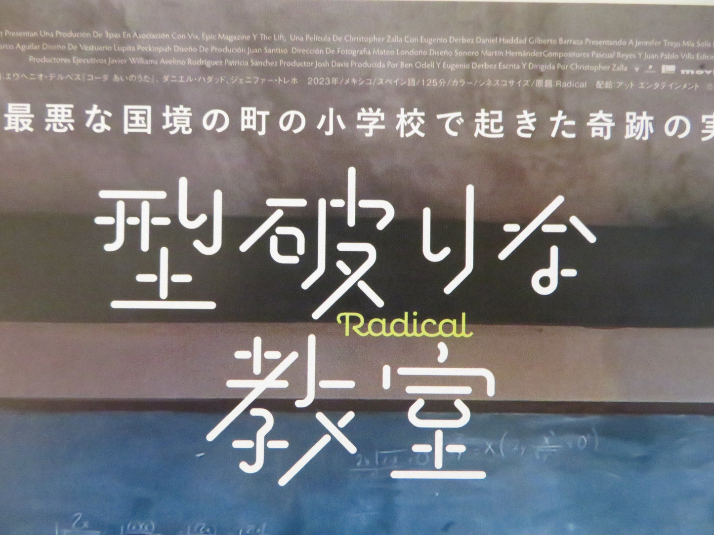 RADICAL JAPANESE CHIRASHI (B5) POSTER EUGENIO DERBEZ DANIEL HADDAD 2023 Rendezvous Cinema Movie posters
