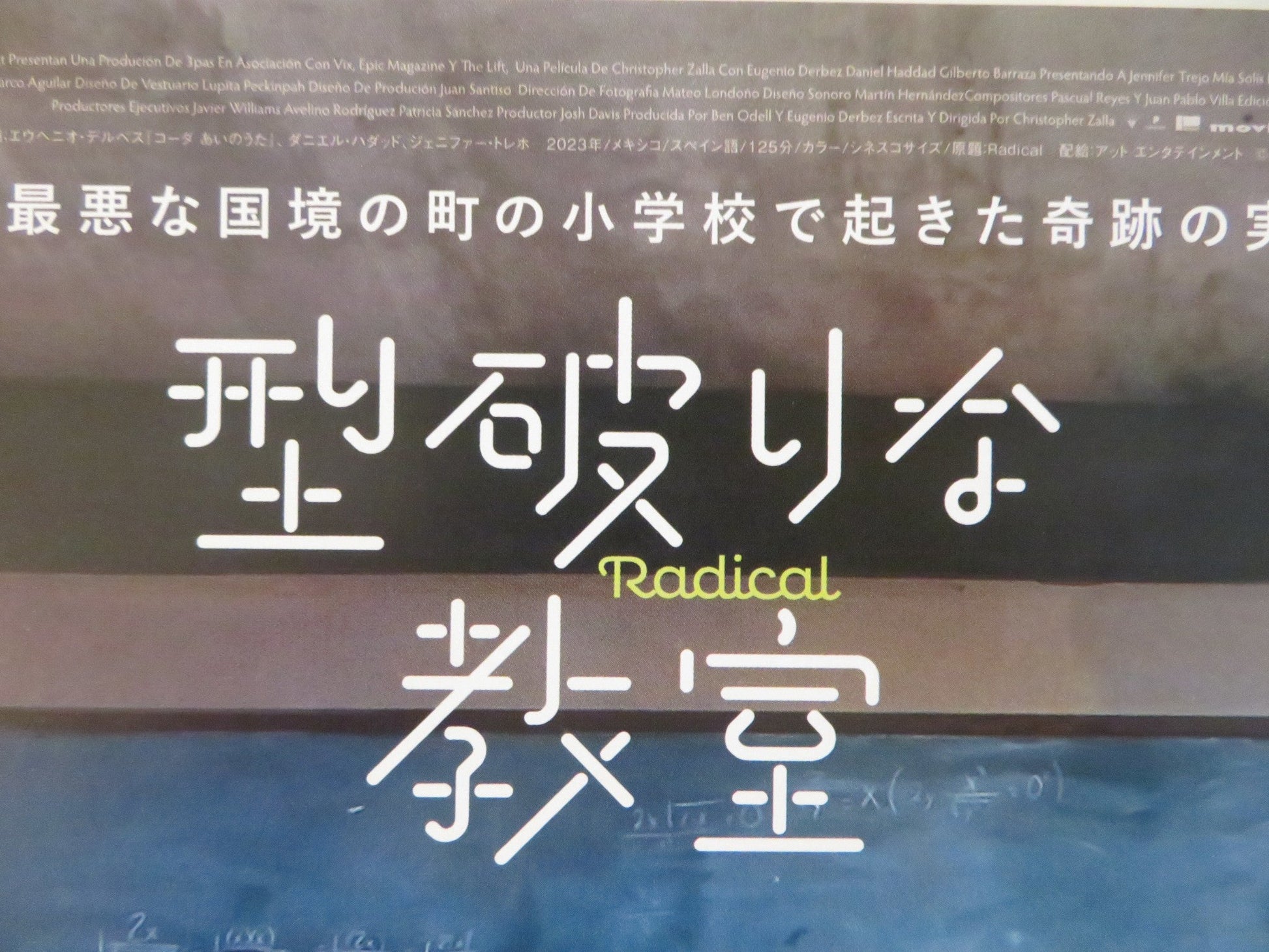 RADICAL JAPANESE CHIRASHI (B5) POSTER EUGENIO DERBEZ DANIEL HADDAD 2023 Rendezvous Cinema Movie posters