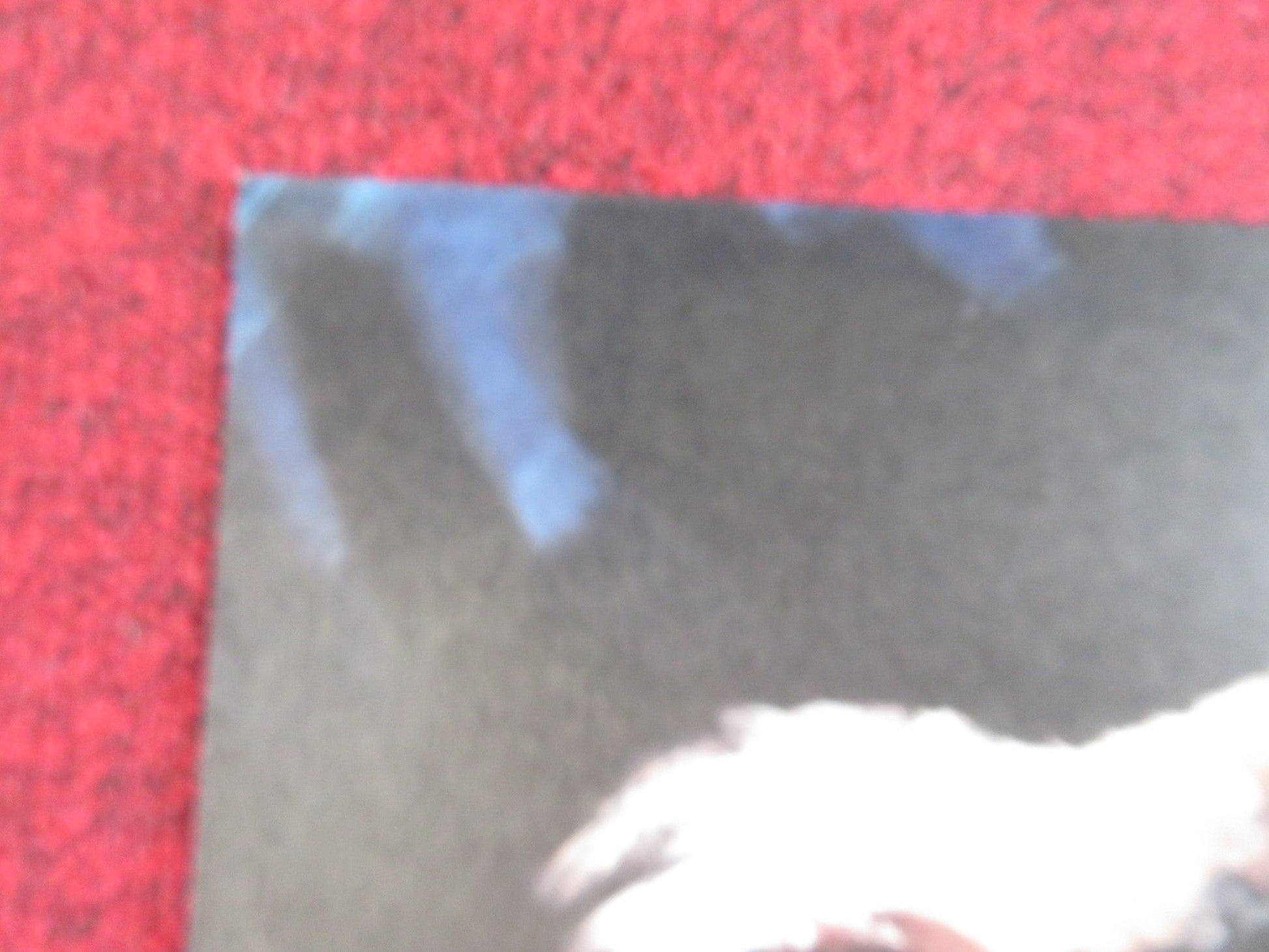 RAGE GERMAN A1 POSTER FOLDED GLEN FORD STELLA STEVENS 1967 Rendezvous Cinema Movie posters