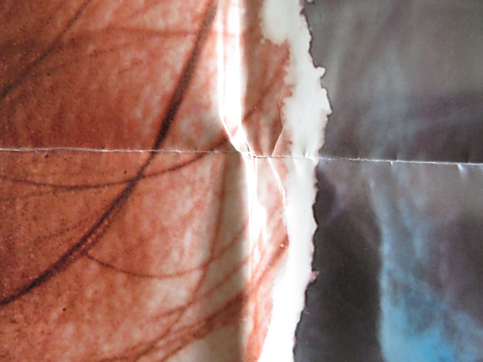 RAISING CAIN FOLDED US ONE SHEET POSTER JOHN LITHGOW LOLITA DAVIDOVICH 1992 Rendezvous Cinema Movie posters