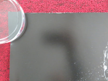 RAMBO: LAST BLOOD - A UK QUAD ROLLED POSTER SYLVESTER STALLONE PAZ VEGA 2019 Movie posters