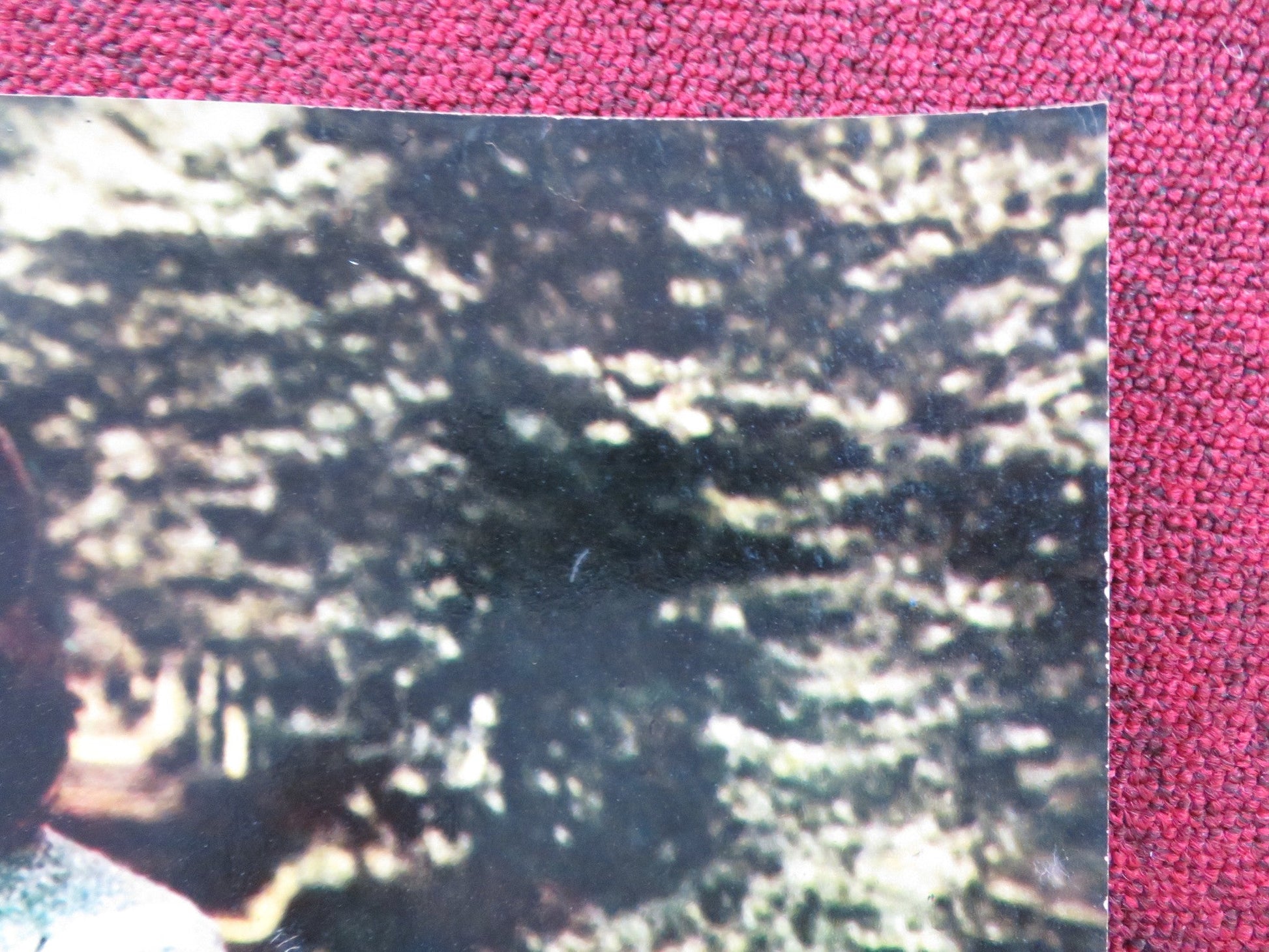 RAVISHING - B ITALIAN FOTOBUSTA POSTER ROBERT LAMOUREUX SYLVA KOSCINA 1960 Rendezvous Cinema Movie posters