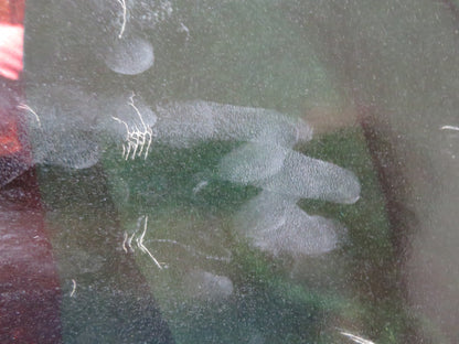 RAVISHING - C ITALIAN FOTOBUSTA POSTER ROBERT LAMOUREUX SYLVA KOSCINA 1960 Rendezvous Cinema Movie posters