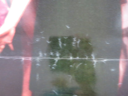 RAVISHING - H ITALIAN FOTOBUSTA POSTER ROBERT LAMOUREUX SYLVA KOSCINA 1960 Rendezvous Cinema Movie posters