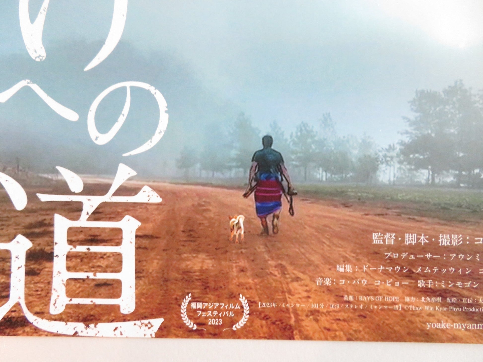 RAYS OF HOPE JAPANESE CHIRASHI (B5) POSTER KO POW 2023 Rendezvous Cinema Movie posters