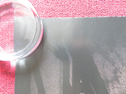 READY OR NOT UK QUAD ROLLED POSTER SAMARA WEAVING ADAM BRODY 2019 Rendezvous Cinema Movie posters