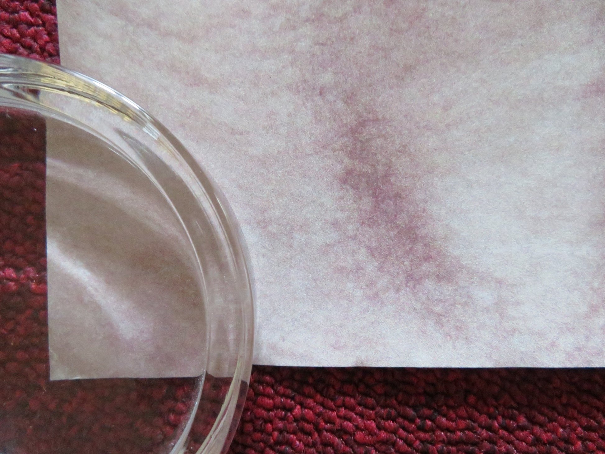 REAWAKENING UK QUAD ROLLED POSTER JARED HARRIS JULIET STEVENSON E. DOHERTY 2024 Rendezvous Cinema Movie posters