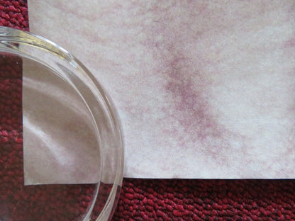 REAWAKENING UK QUAD ROLLED POSTER JARED HARRIS JULIET STEVENSON E. DOHERTY 2024 Rendezvous Cinema Movie posters